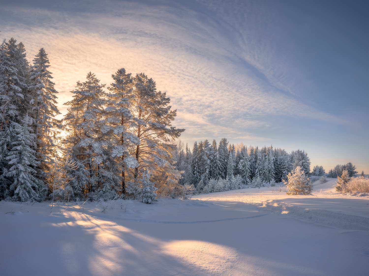 зима снег солнце тени лес мороз, Сергей Буторин