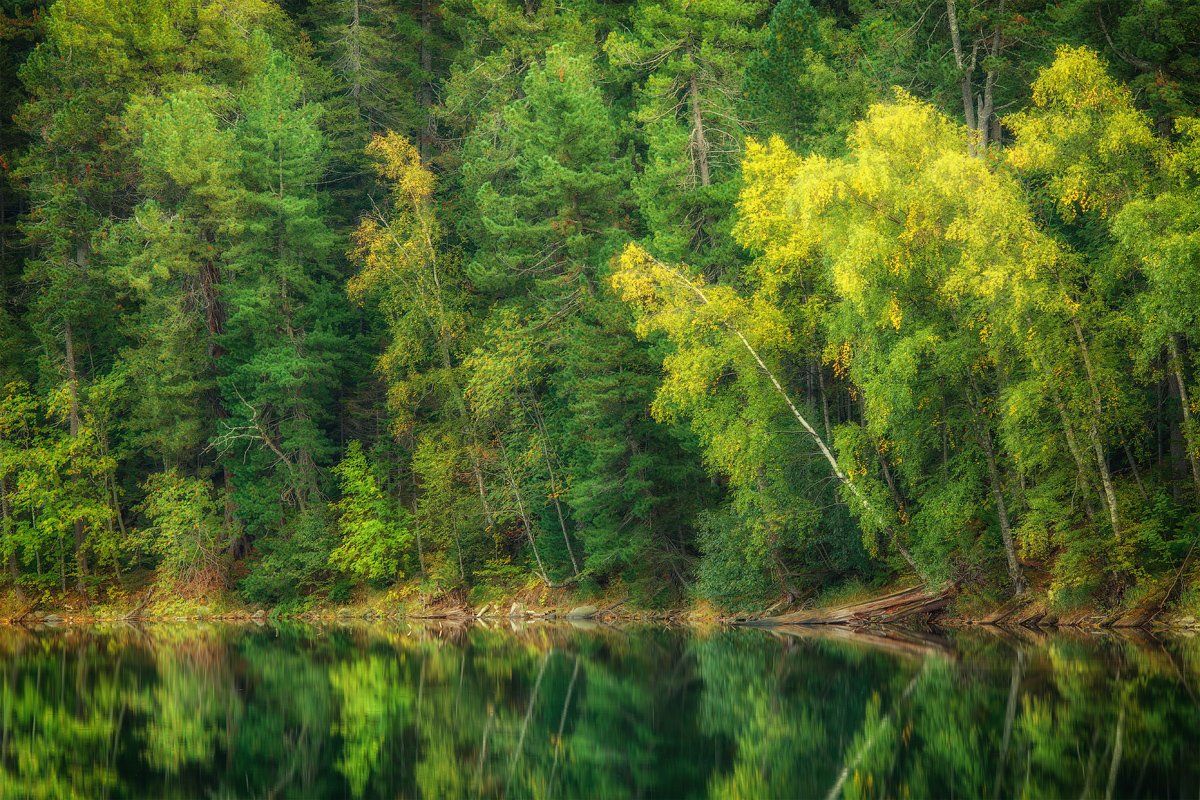 деревья, листва, озеро, осень, отражения, лес, листья, вода,, Евгений Трезубов