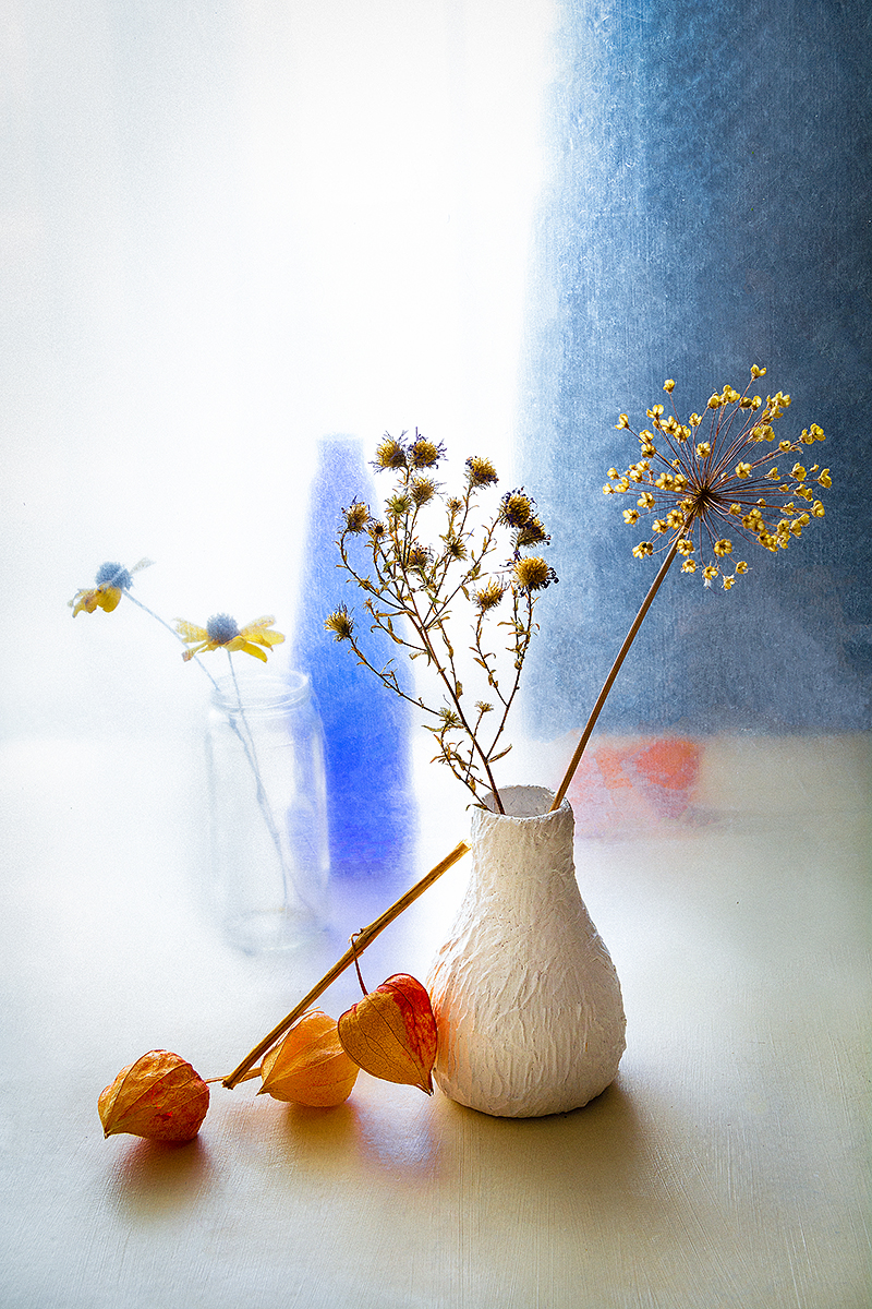 ваза, физалис, сухие цветы, бутылка, синий, оранжевый, Баг Алексей