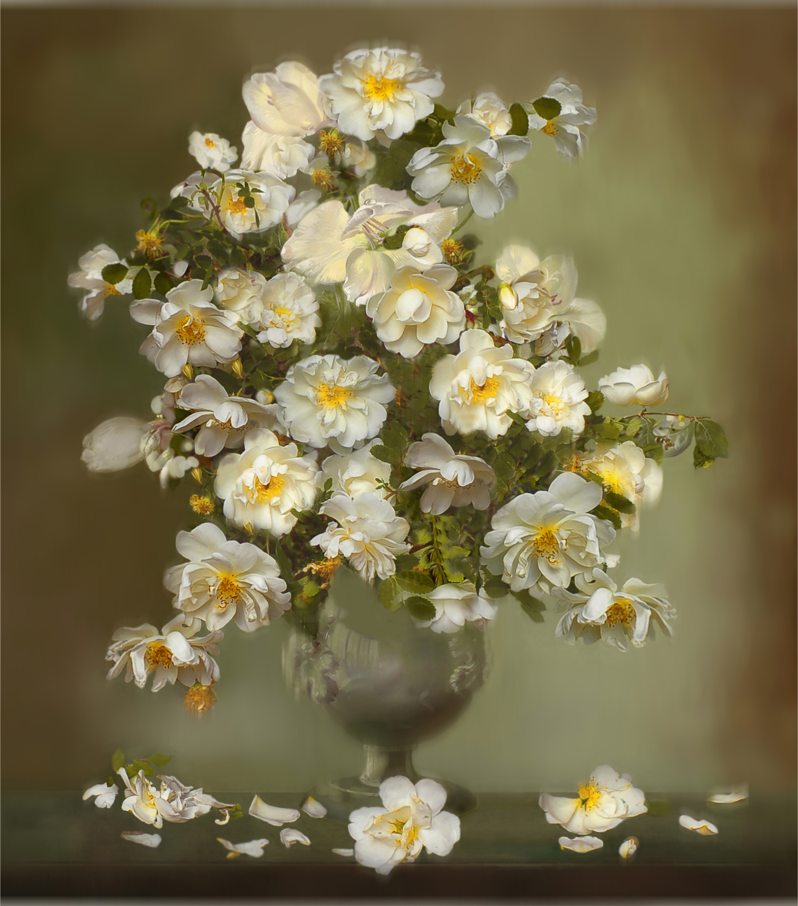 роза белая,шиповник,ваза,натюрморт, Хагалас Мириам