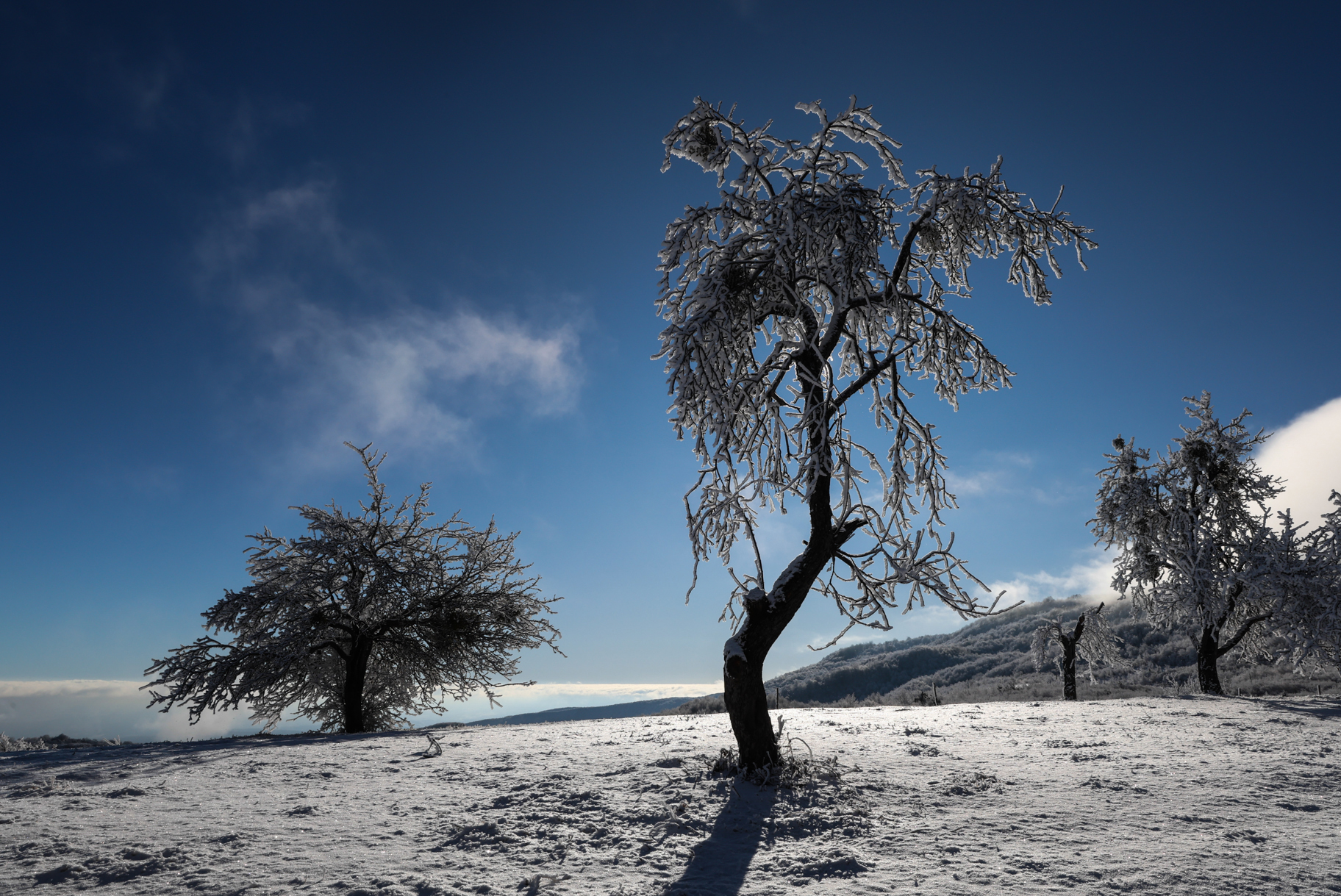 пейзаж,зима,сад,, Magov Marat