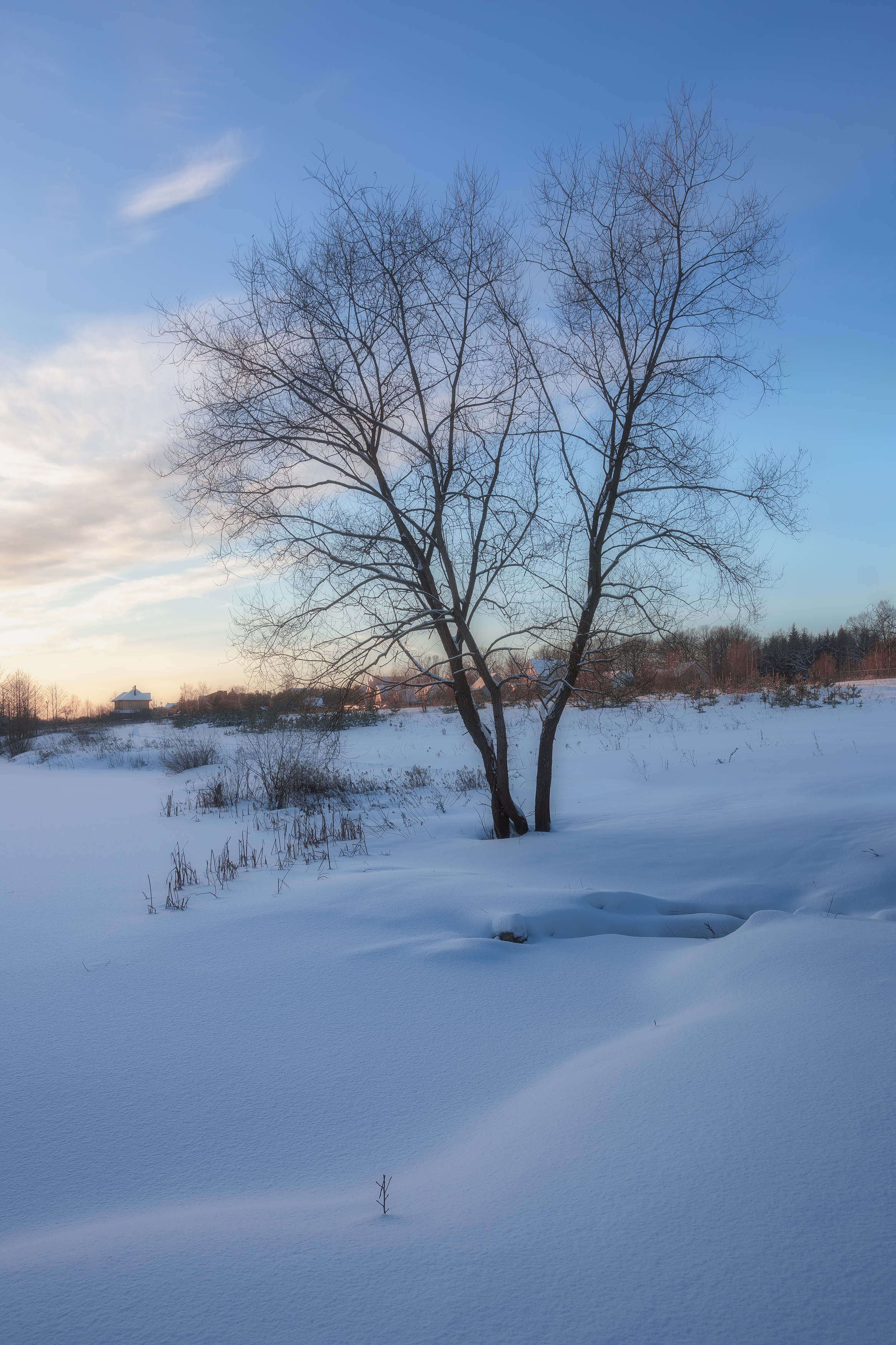природа, мороз, снег, зимний пейзаж, пейзаж, Московская область, Мартыненко Дмитрий