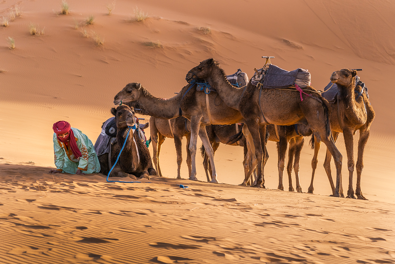 scenery desert sahara sand berber bedouin evening пустыня, Александров Александър