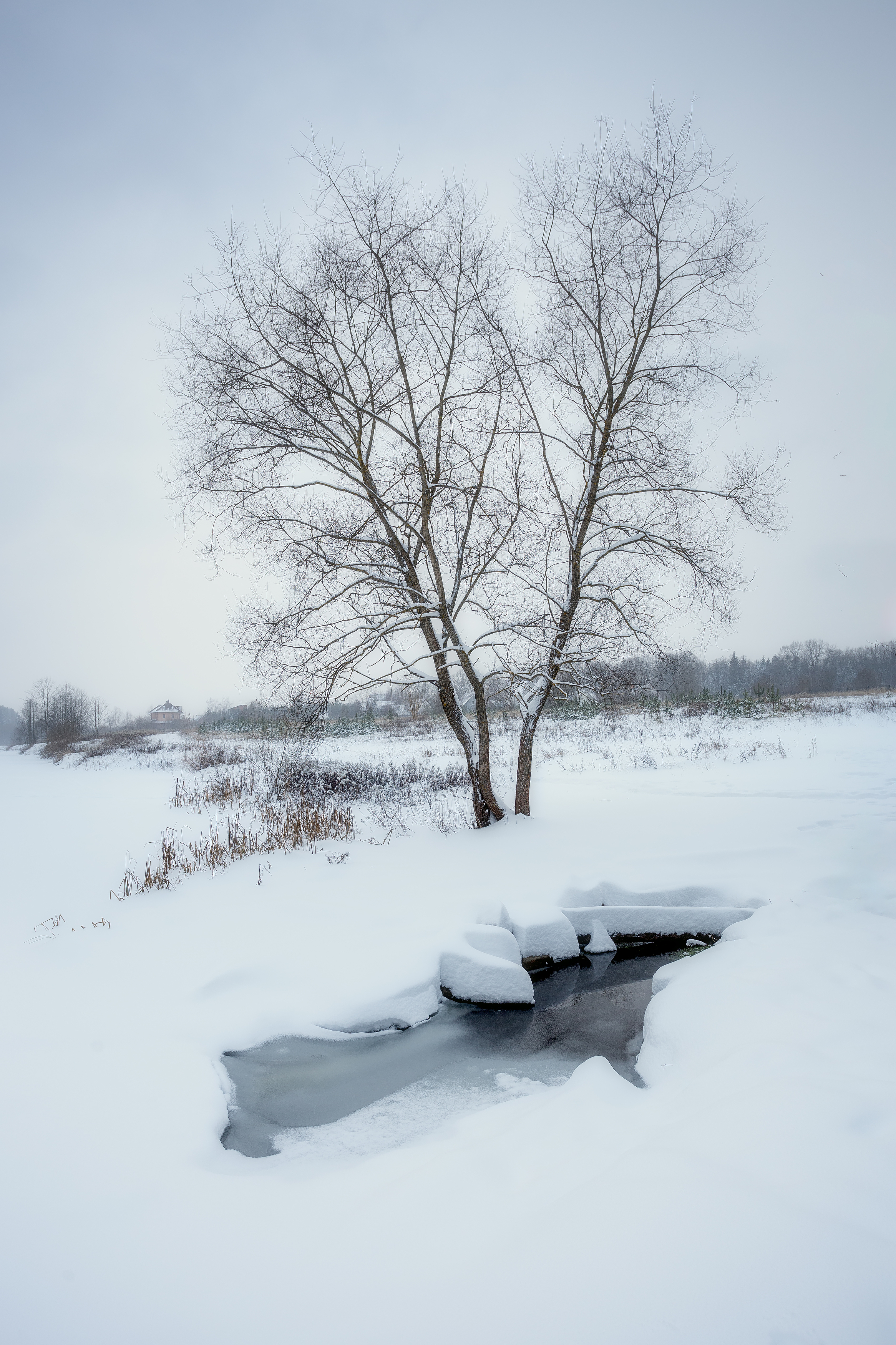 пейзаж, зима, зимний пейзаж, природа, Московская область, Мартыненко Дмитрий