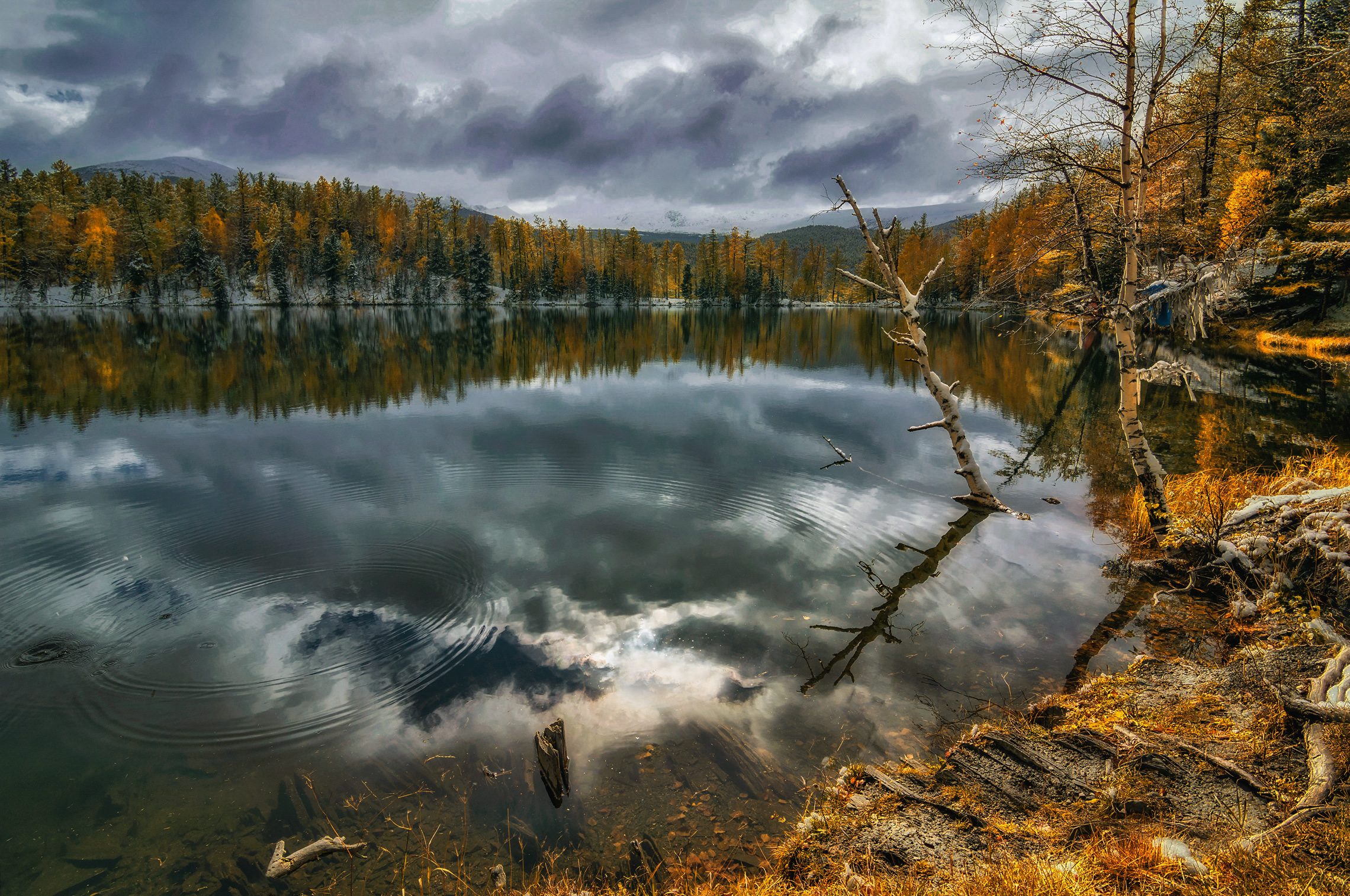 горный алтай,осень,озеро арыгем ( ару-кем,куладинское),перед дождём,круги на воде, Lora Pavlova