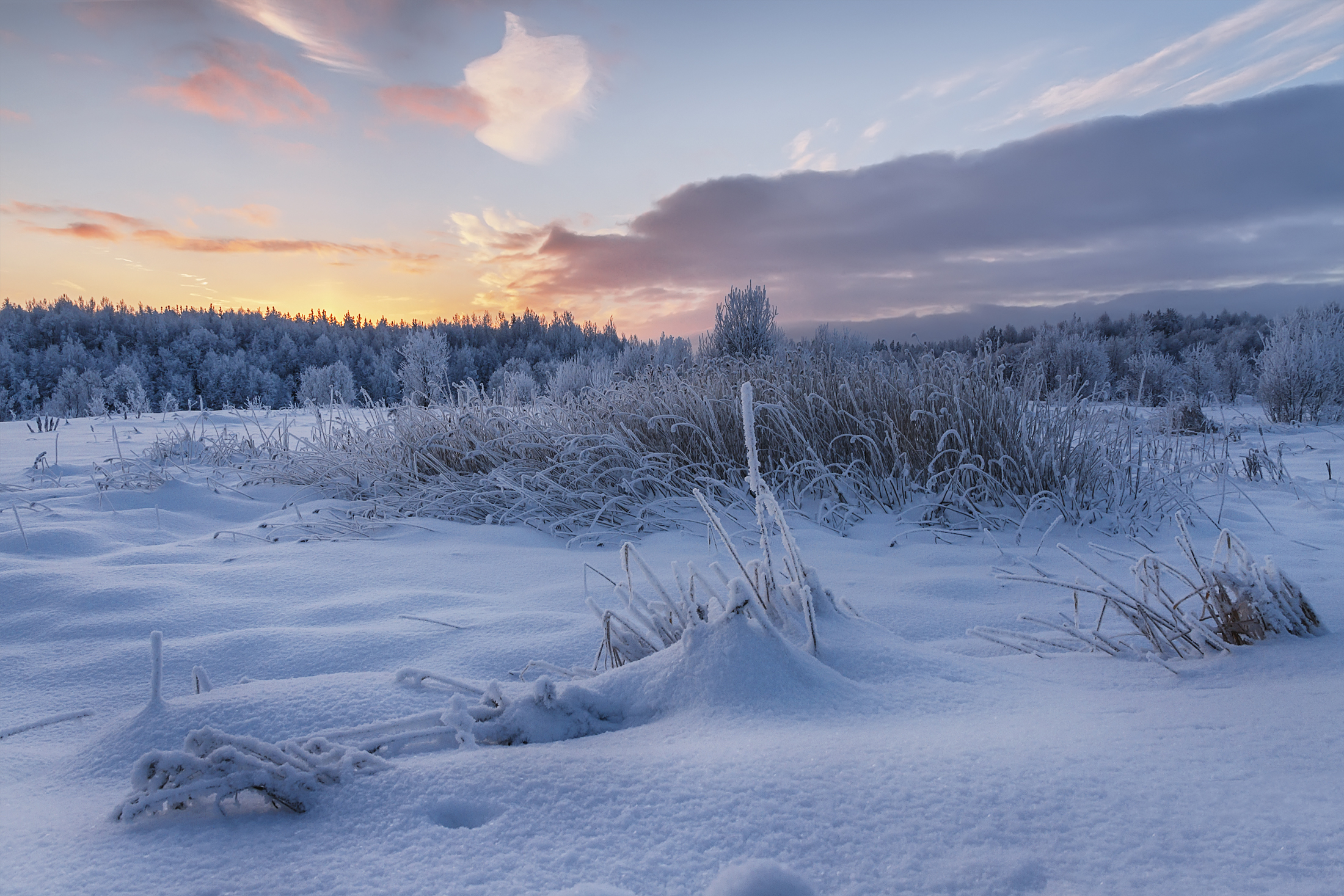 зима декабрь иней мороз деревья кусты сугробы утро рассвет след небо облака архангельск, Вера Ра