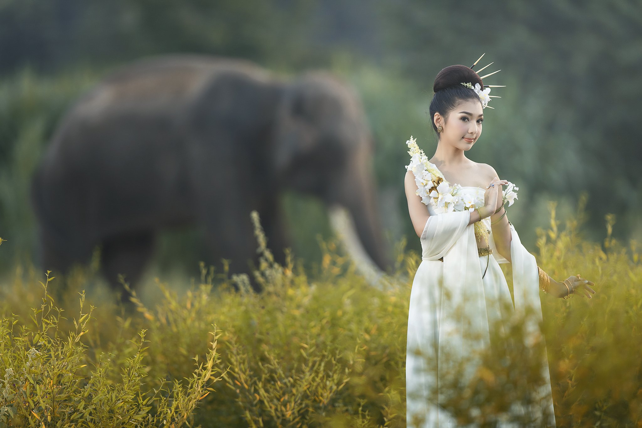 Animals, Asia, Asian, Beautiful, Cute, Elephant, Girl, Thai, Thailand, Woman, Saravut Whanset
