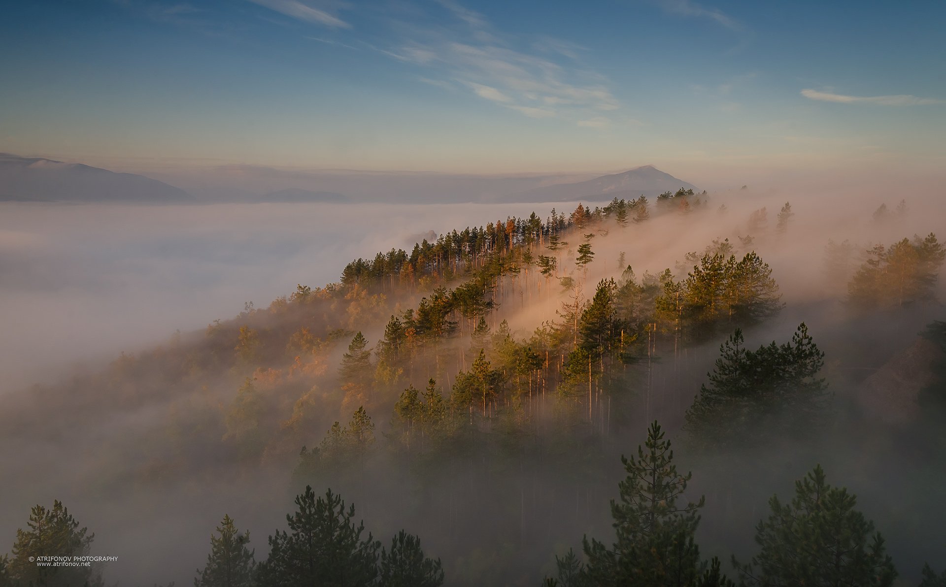 fogg, morning, autumn, Belogradchik, Bulgaria, trees, sky, landscape, Andrey Trifonov