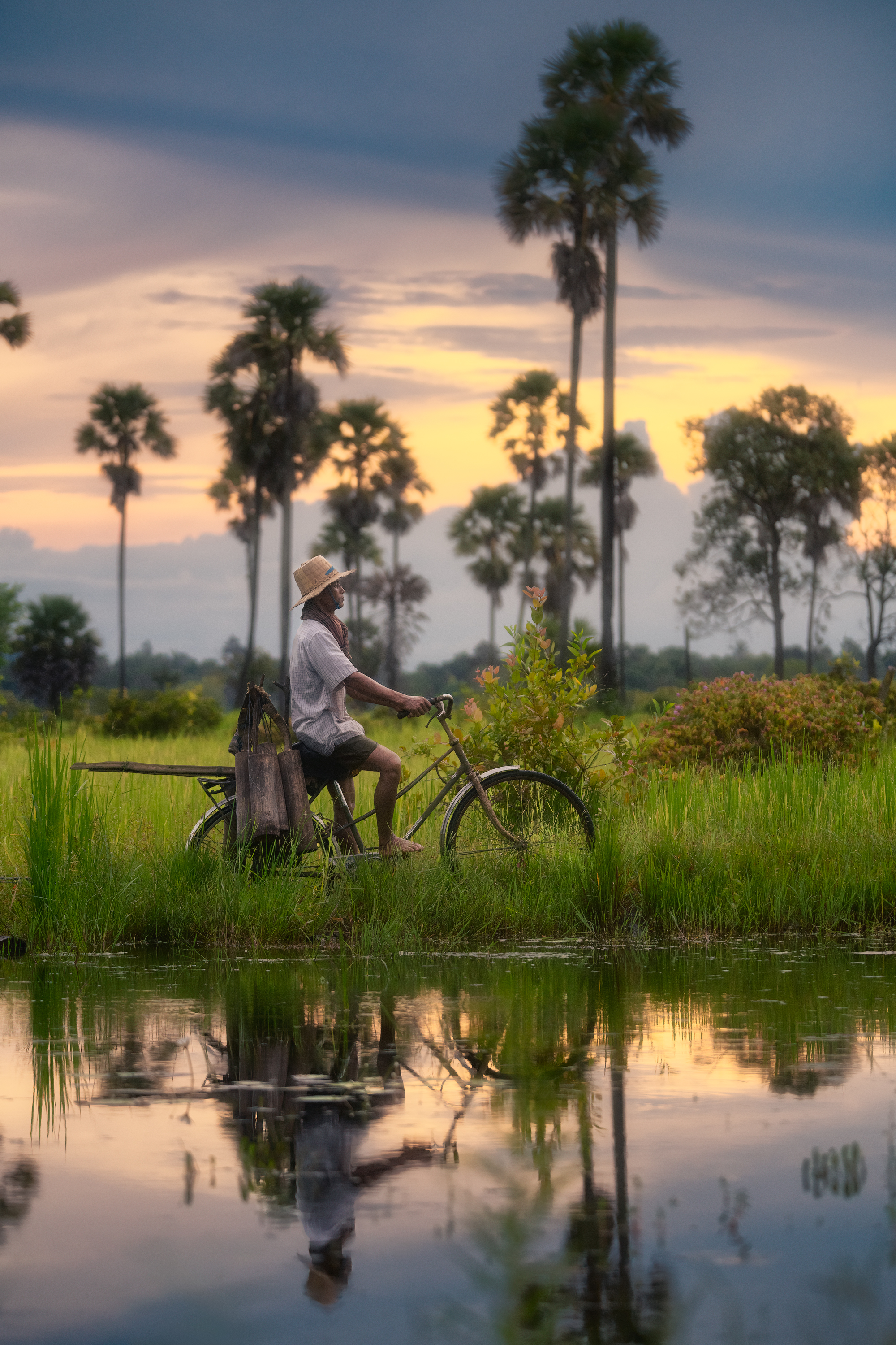 камбоджа, азия, джунгли, ангкор, ангкор ват, сием рип, деревня, село, фермер, велосипед, пальмы, cambodia, asia, angkor, angkor wat, siem reap, farmer, bicycle, reflection, palm, rural, Эрнест Вахеди