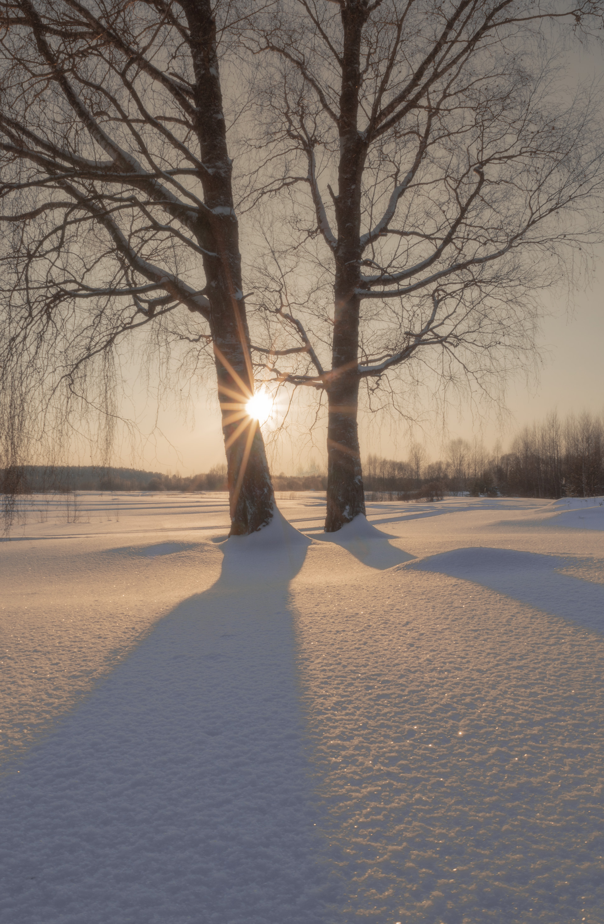пейзаж, природа, зима, снег, лес, закат, республика коми, Mysov Ivan