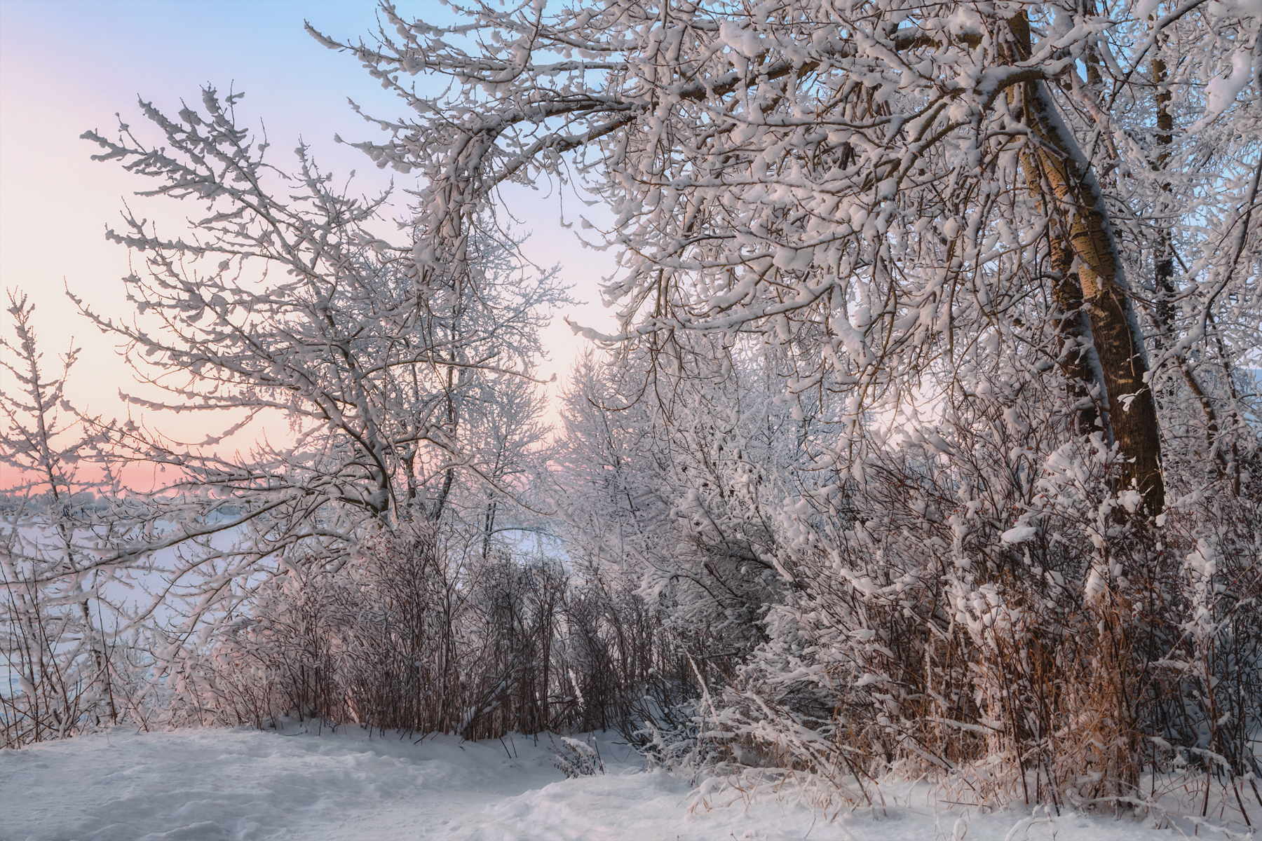 зима декабрь иней снег мороз деревья вечер архангельск, Вера Ра