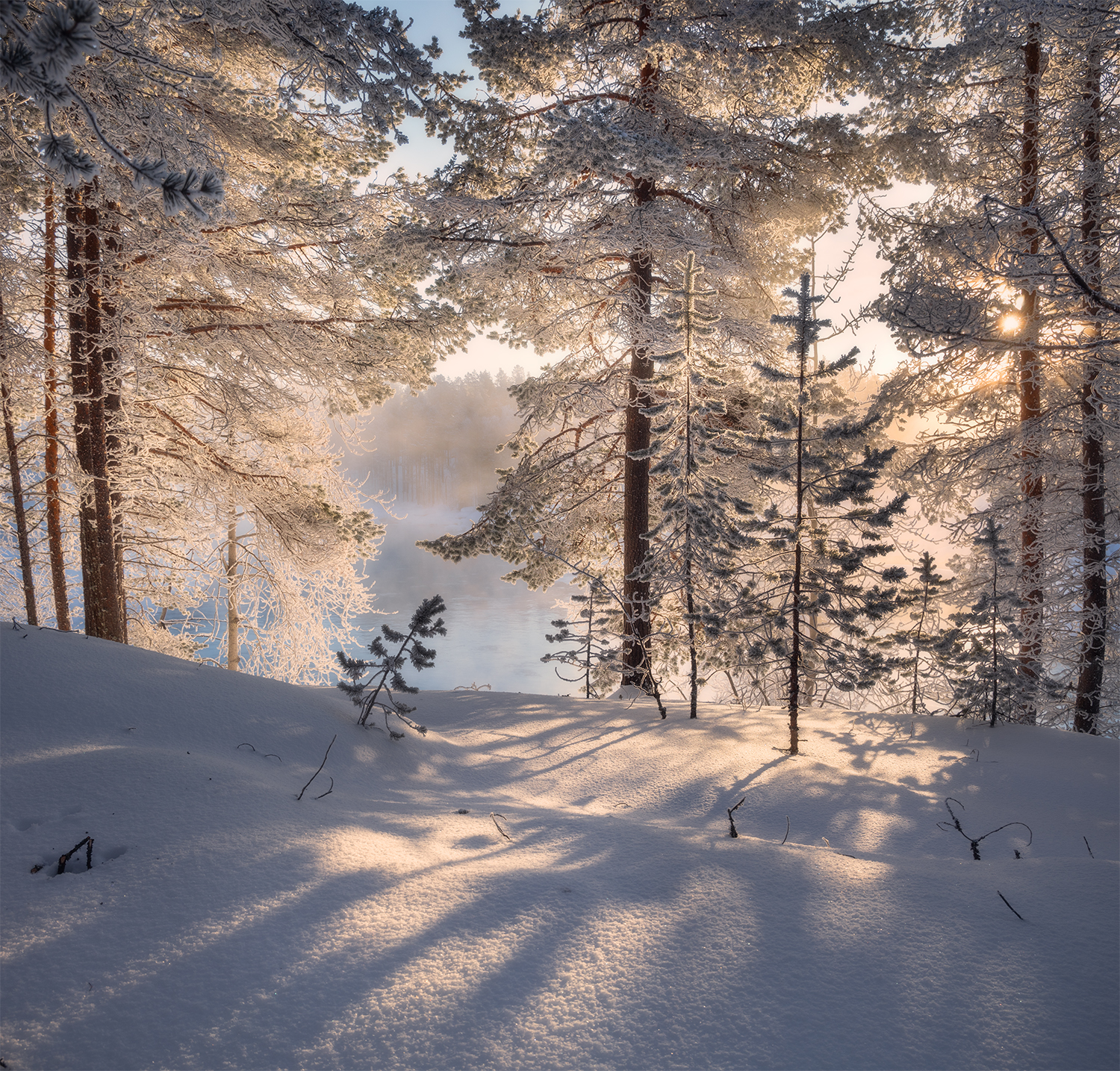 зима солнце лес река мороз, Сергей Буторин
