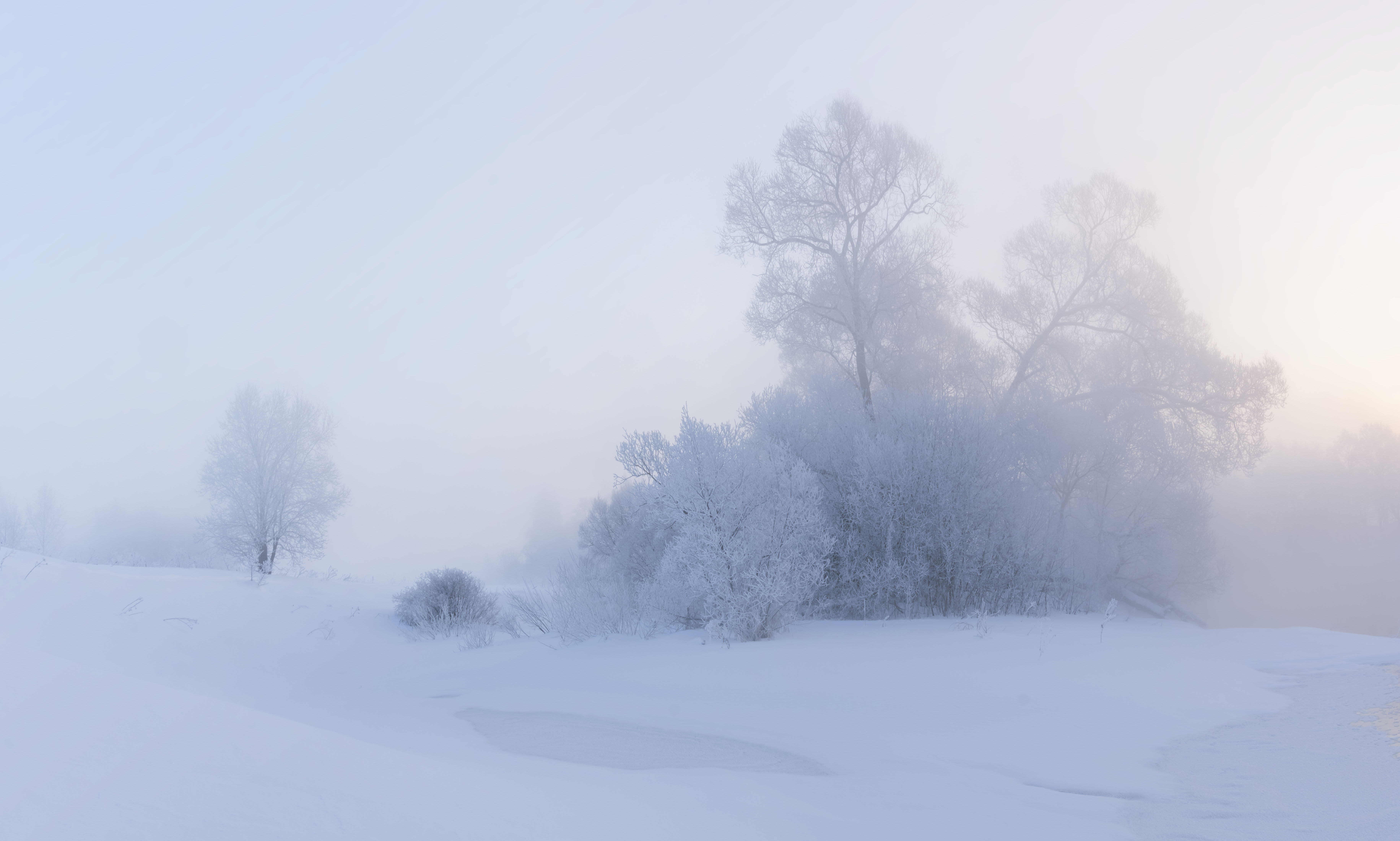 зима, истра, туман, Olga Bonina