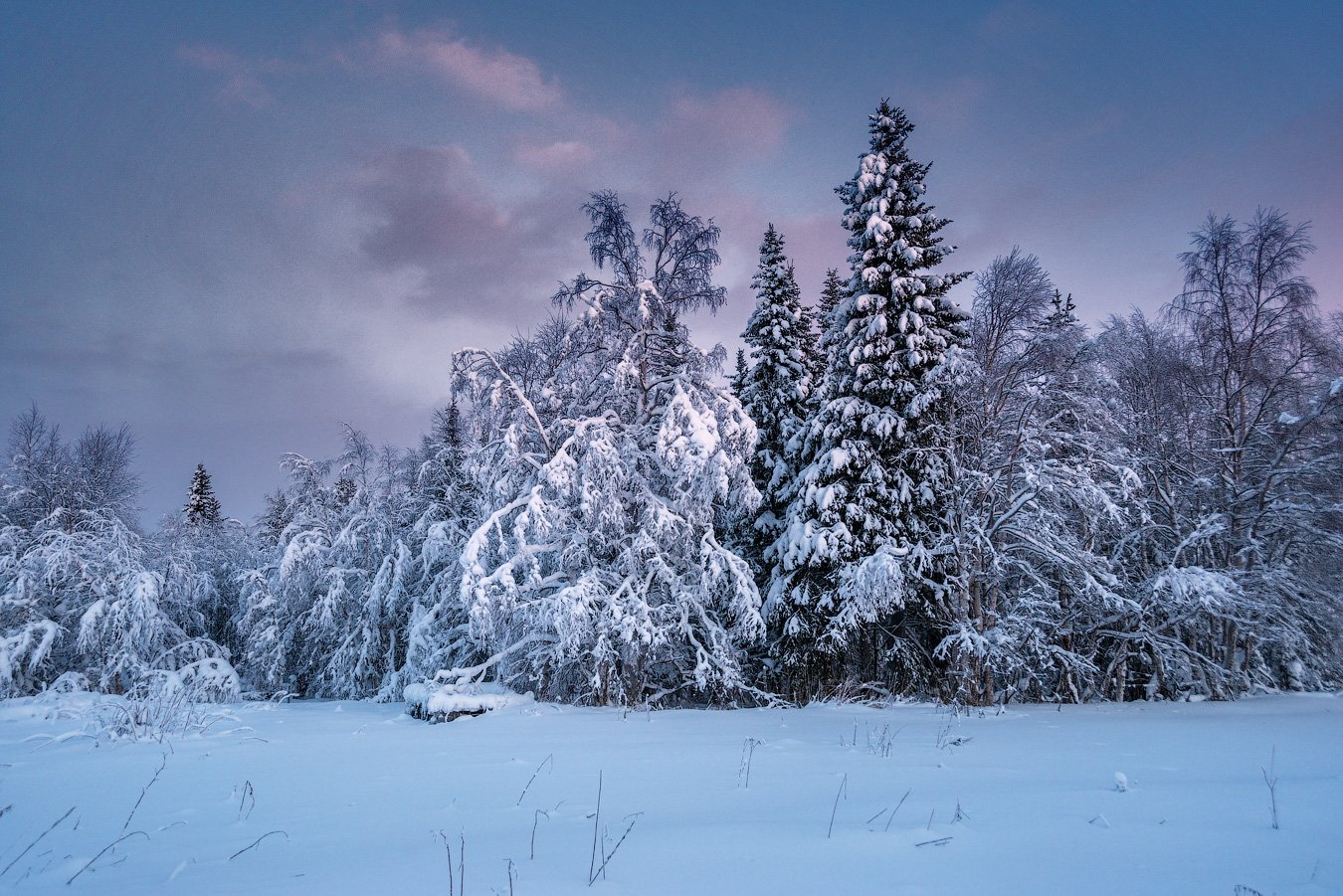 Пейзаж зимы. Зимний пейзаж. Русский лес зимой. Зимние пейзажи России. Красивые зимние фотографии.