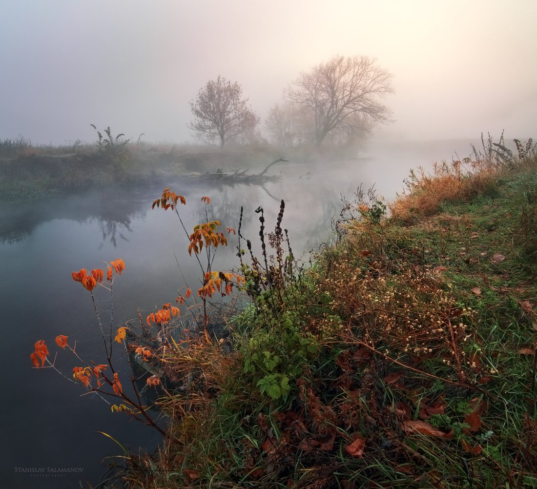 утро, туман, осень, рассвет, река, волшебство, таинство, Станислав Саламанов
