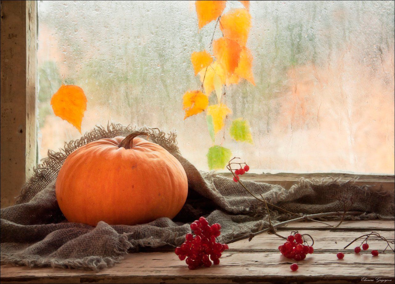 калина, листопад, натюрморт, осень, старое окно, тыква, Eleonora Grigorjeva
