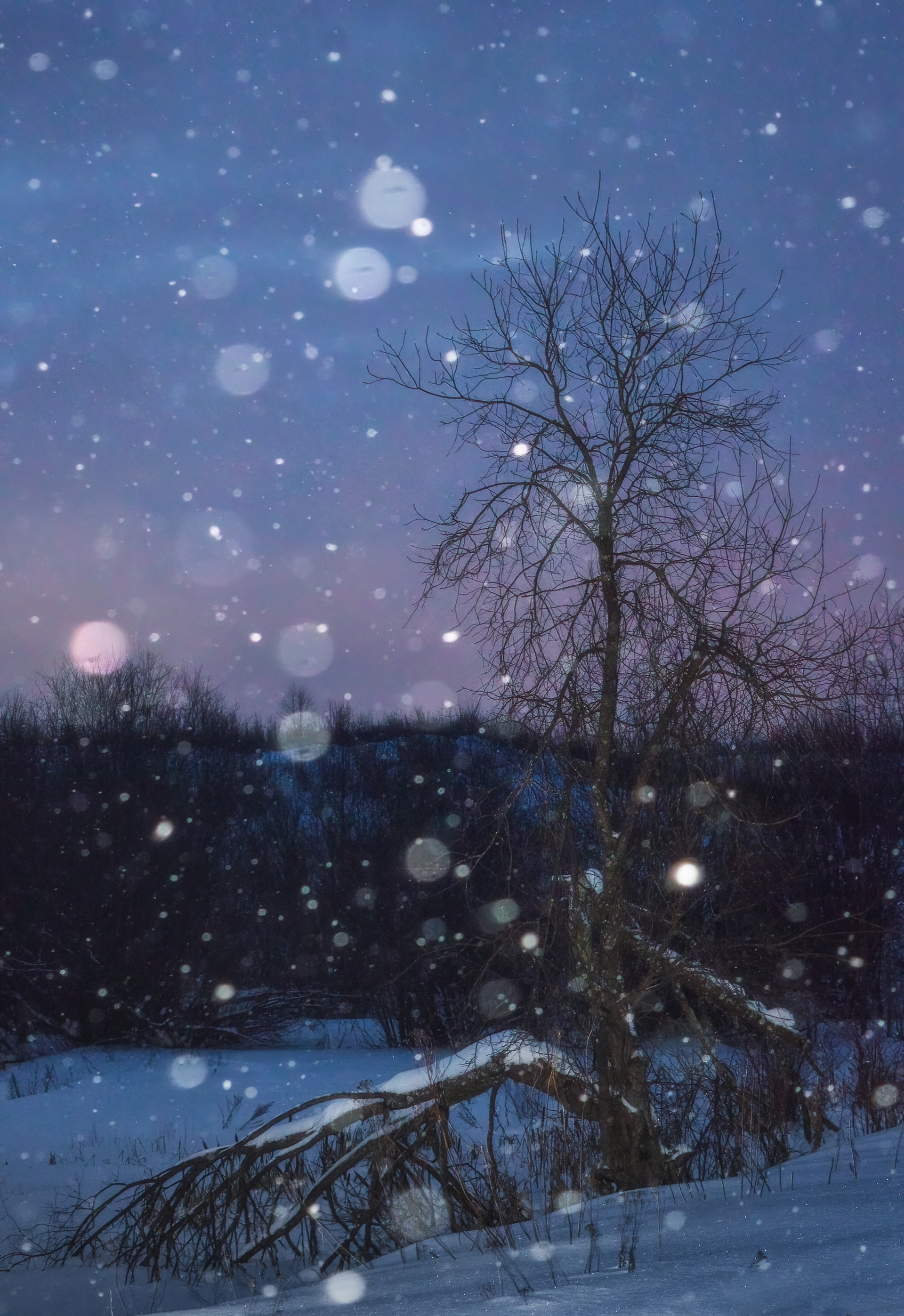 пейзаж, природа, зима, снег, республика коми, снегопад, сумерки, Mysov Ivan
