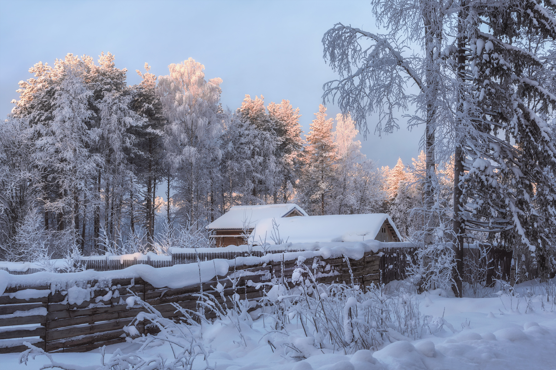 зима январь снег иней мороз деревья дома крыши заборы деревня, Вера Ра