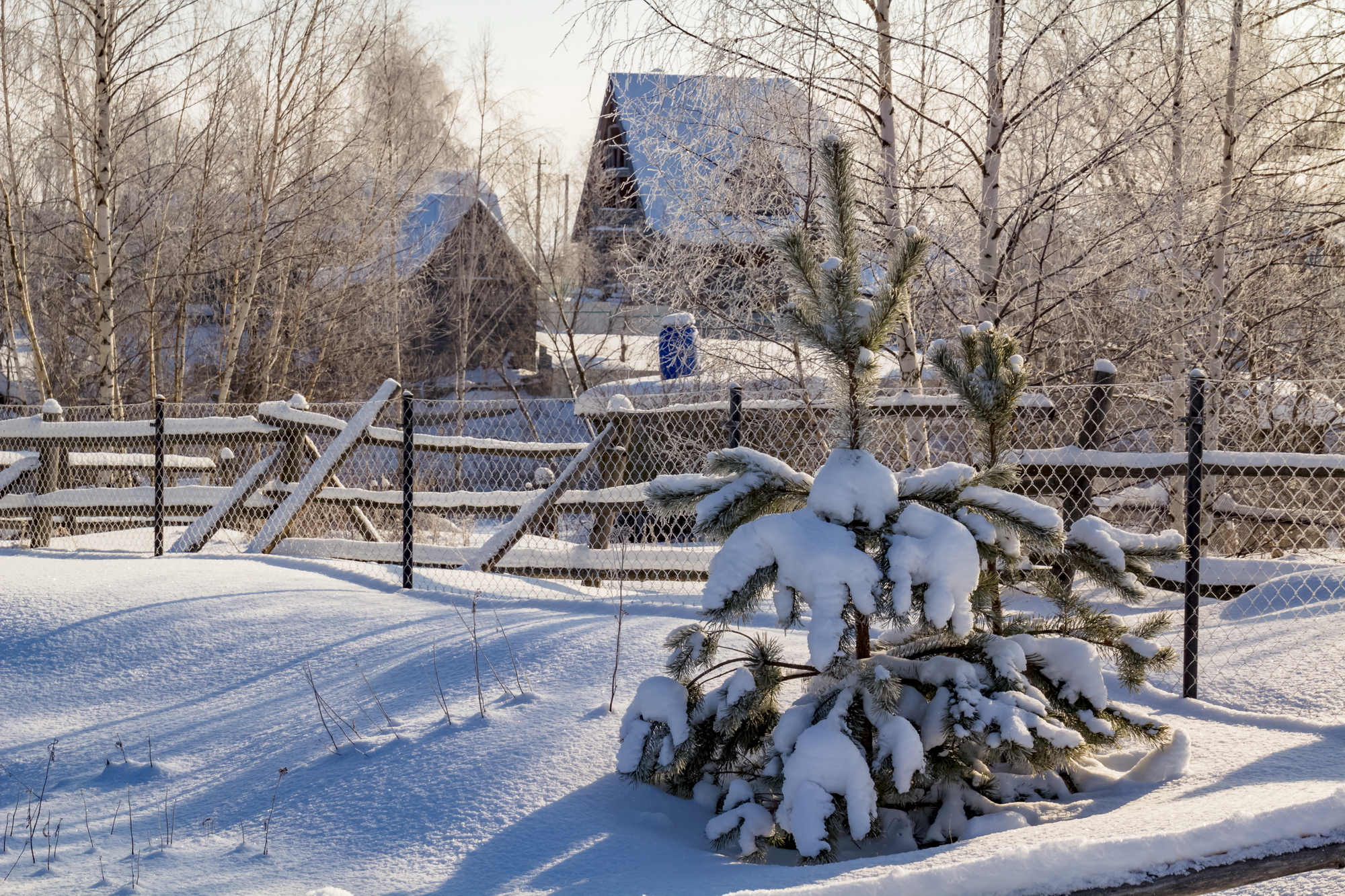 утро, зима, снег, забор, селение, пейзаж, Юрий Морозов