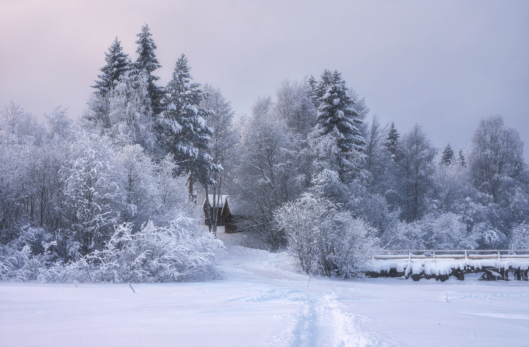 зима, январь, вечер, иней, снег, сугробы, мороз, деревья, кусты, тропа, тропинка, Вера Ра