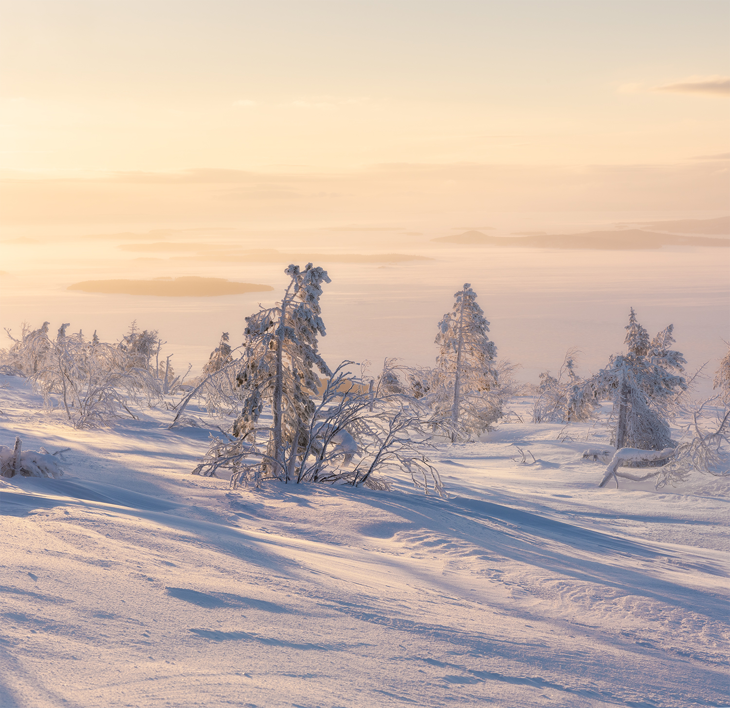 утро мороз снег свет деревья, Сергей Буторин