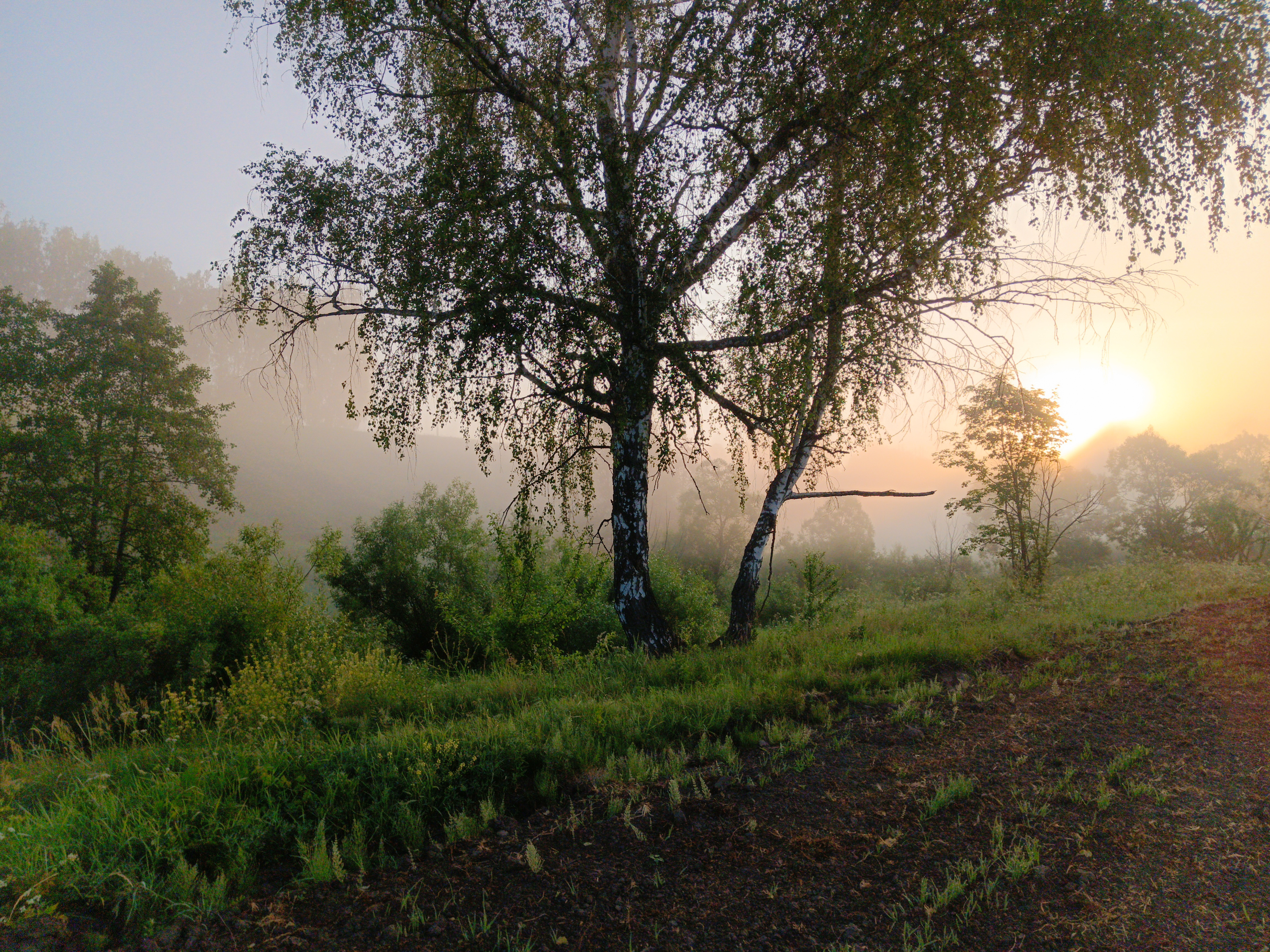 , Светлана Кондрашова