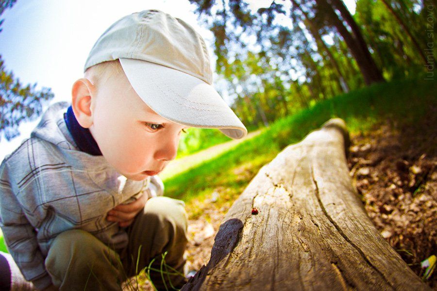 Нежное видео мальчики. Мальчик на природе. Фотосессия мальчика на природе. Ребенок познает мир природы. Дети любят природу.