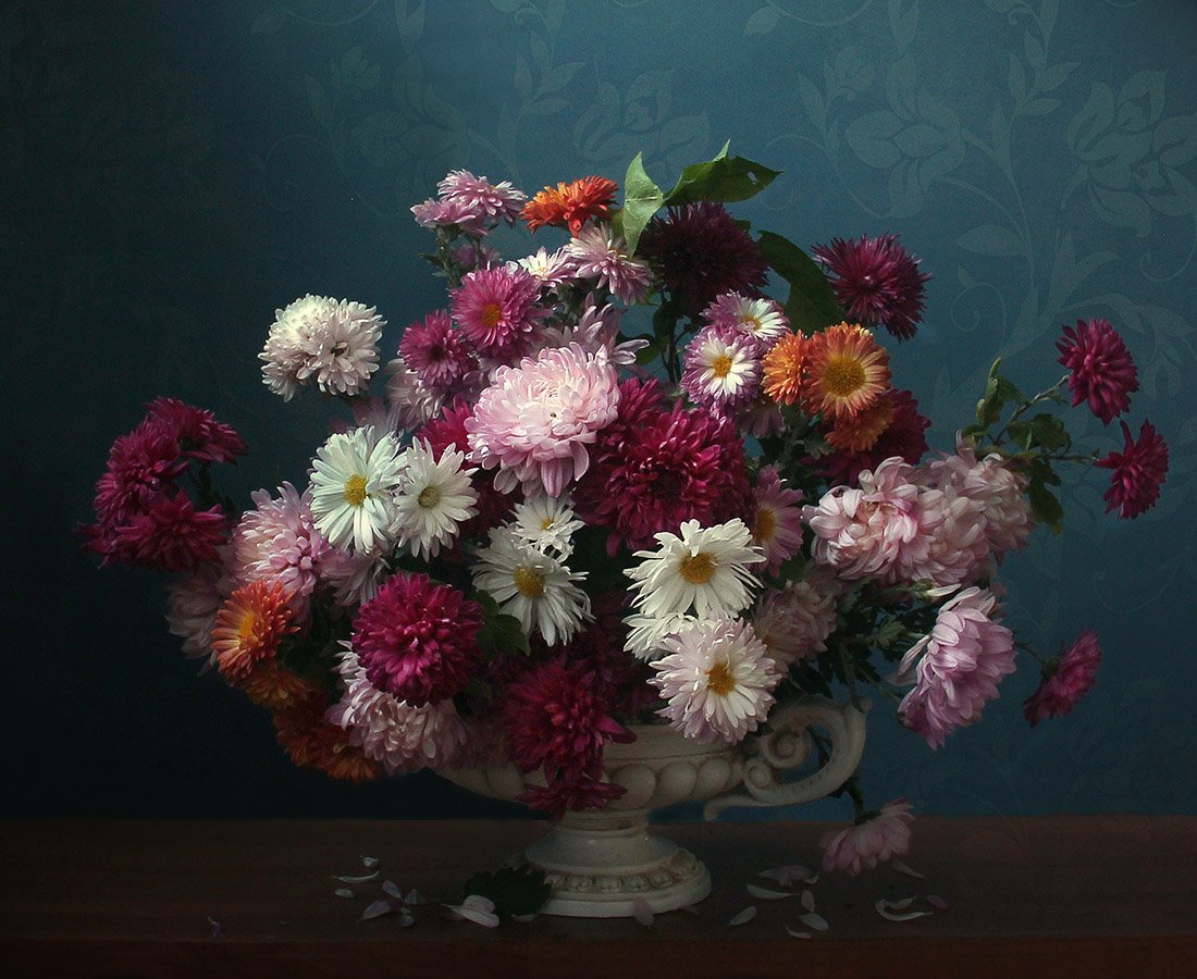Как стоят хризантемы в вазе. Фотонатюрморты Марины Филатовой. Астры.