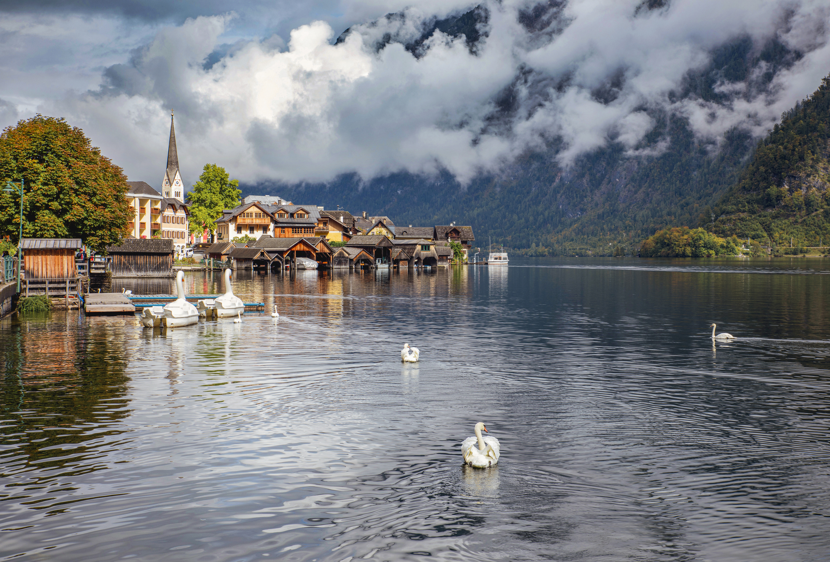 Hallstatt, Austria, lake, swans, water, sky, clouds, Горбачева Маментьева Татьяна