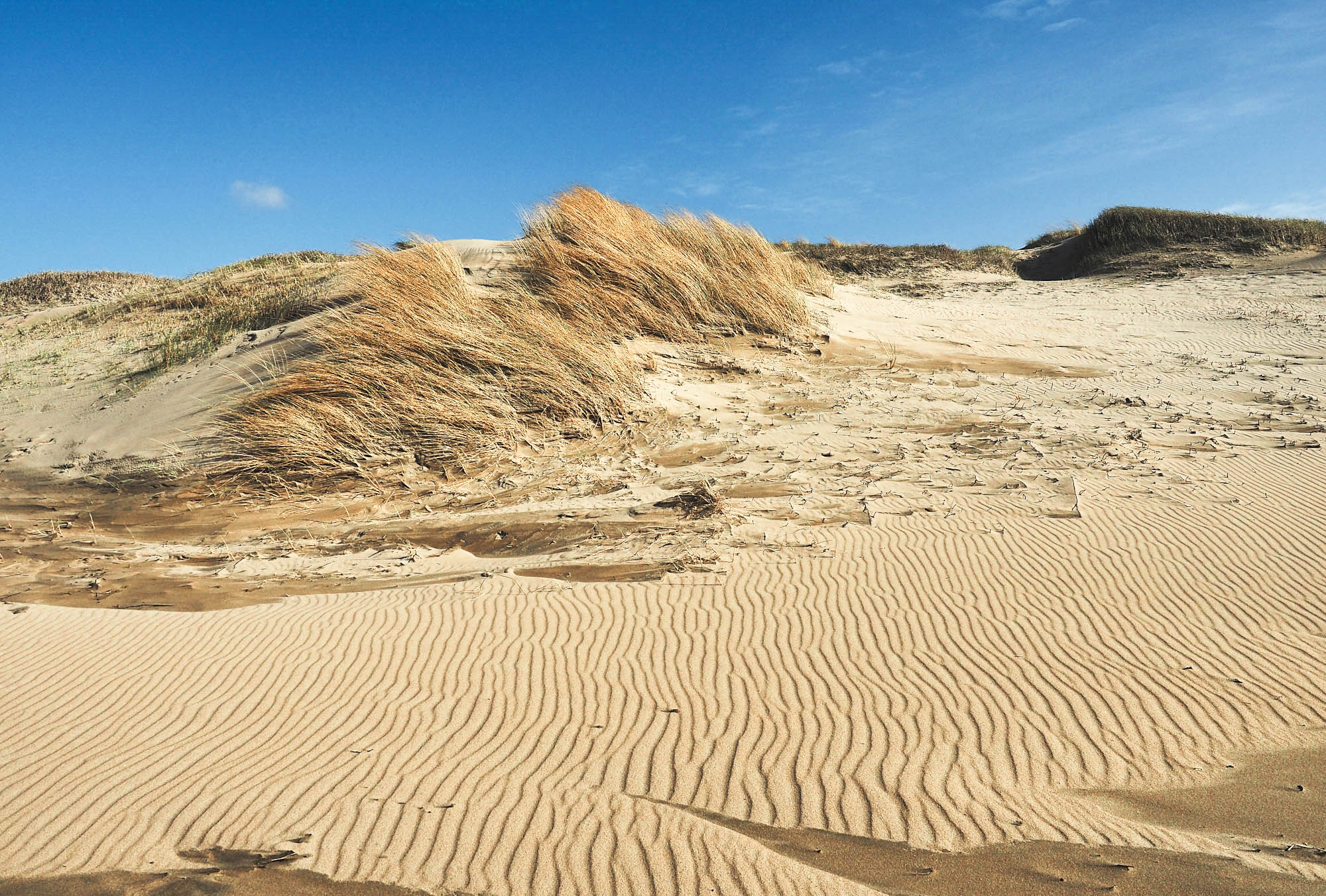 дюны, Северное море, песок, пейзаж, hills, sea, landscape, sand, Протченко Ирина