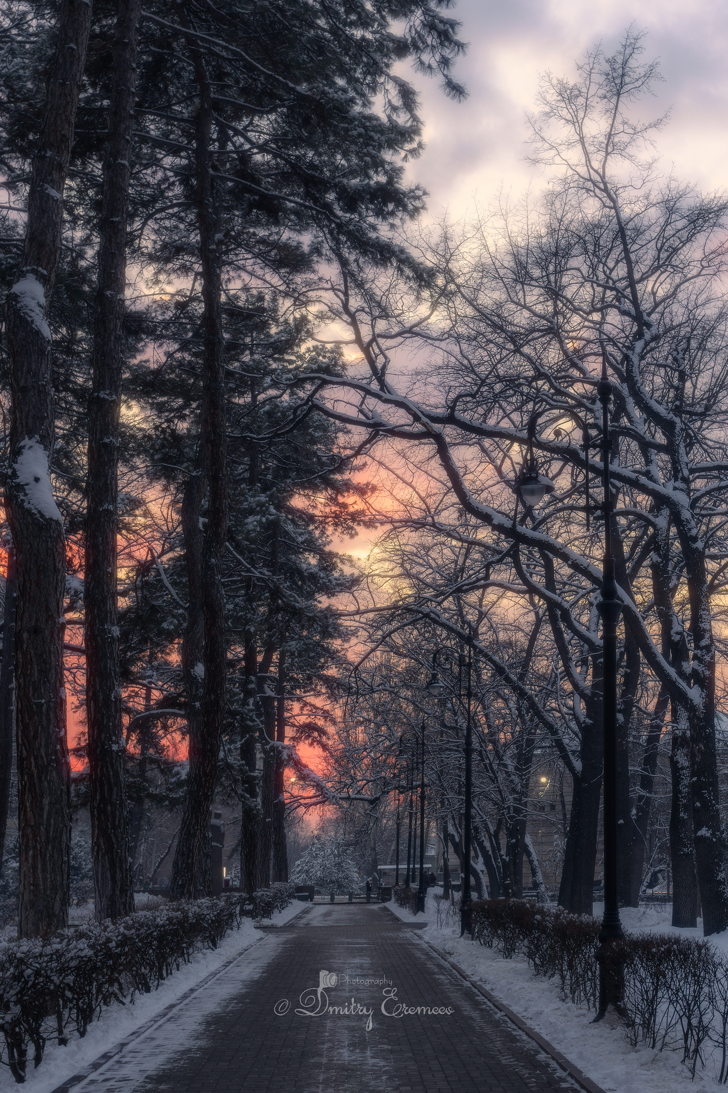 аллея вечер зима парк небо свет цвет снег деревья сосны фотография арт, Еремеев Дмитрий