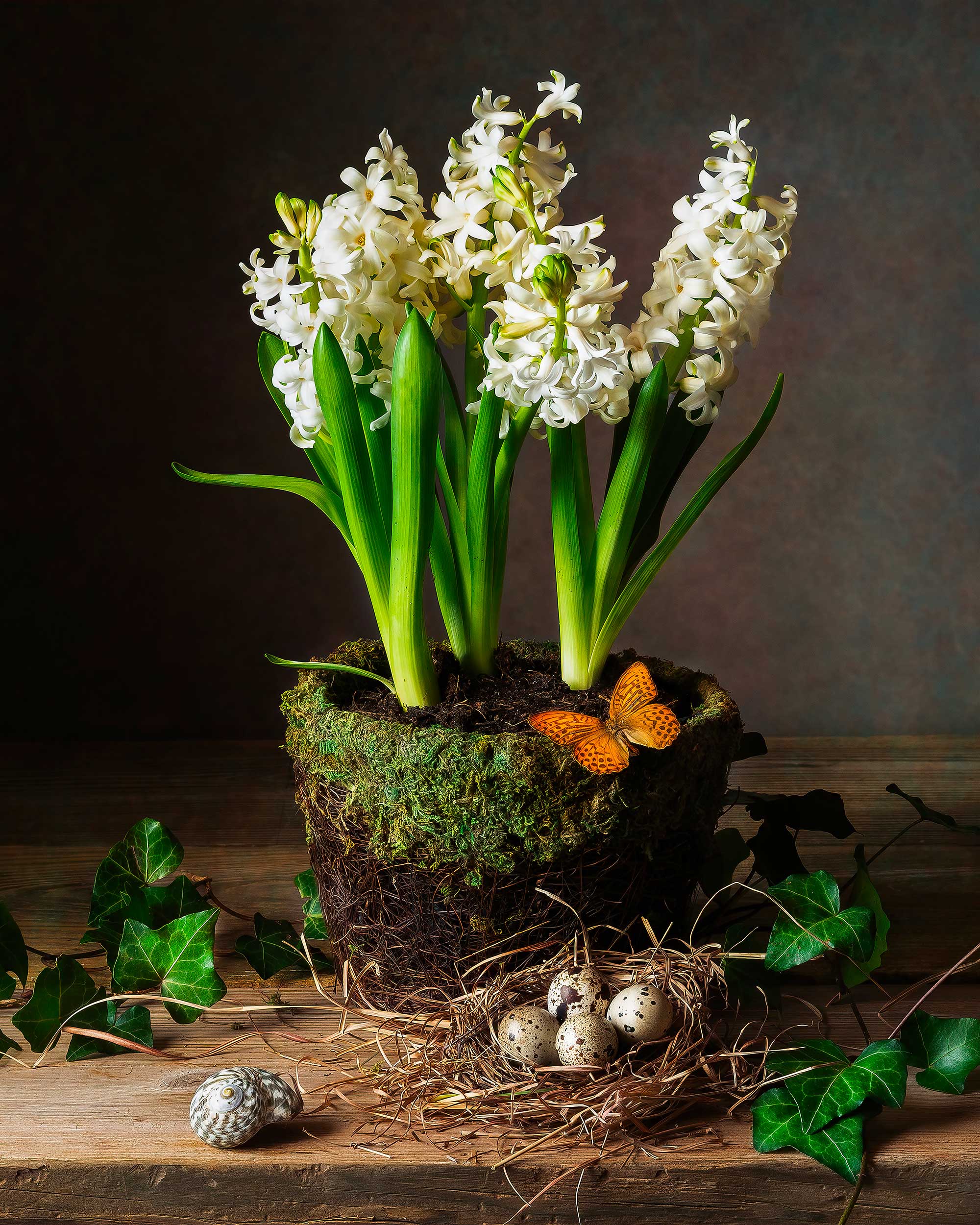hyacinth, spring flowers, easter, butterfly, still life photography, Слуцкая Яна