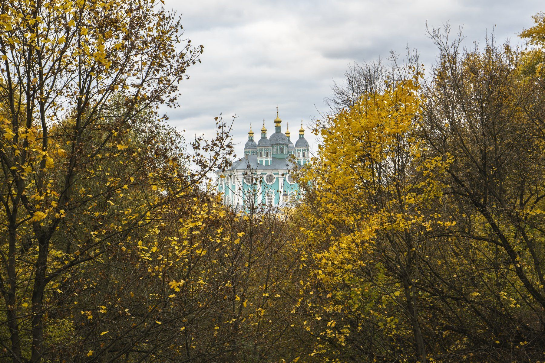 Собор, Смоленск, осень, деревья, пейзаж, город, Иван Губанов