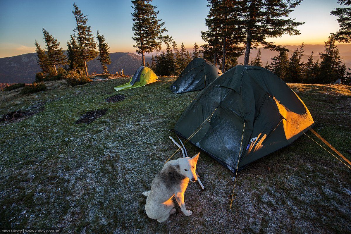 палатка, утро, холод, собака, Владимир Куцый