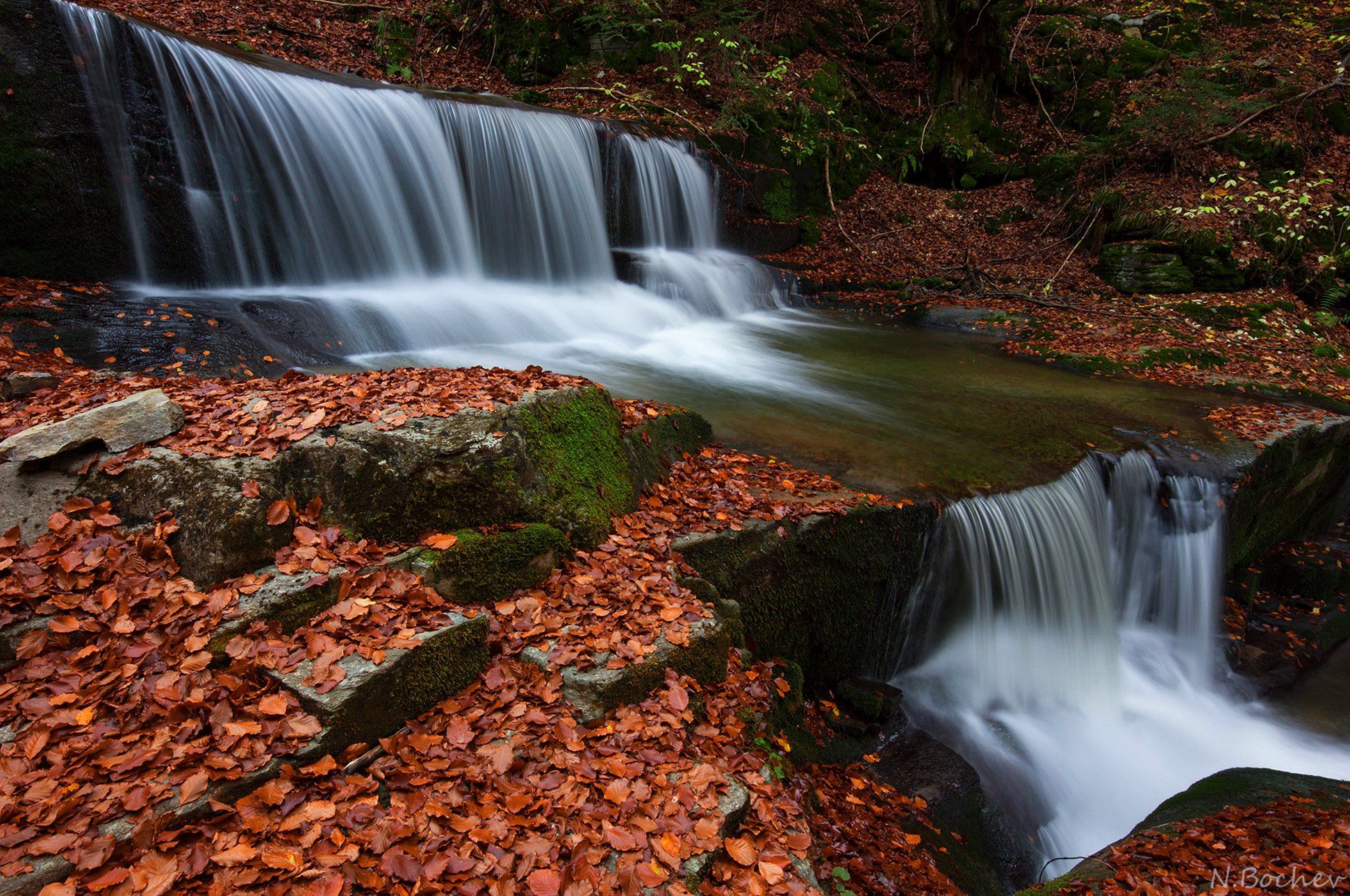 water,waterscape,river,Bulgaria,Rodopi mountain,autumn, Naiden Bochev
