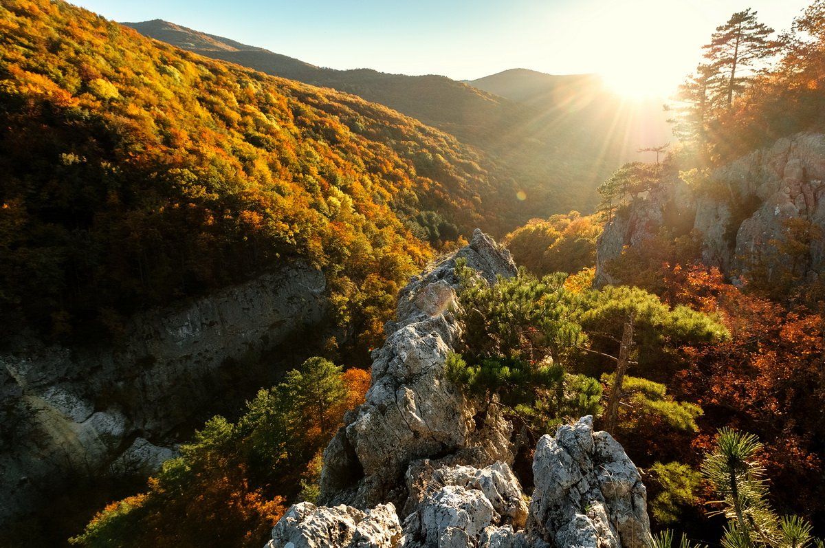 осень, горы, лес, солнце, пейзаж, landscape,wood, nature, autumn, Crimea, Mr. IEN