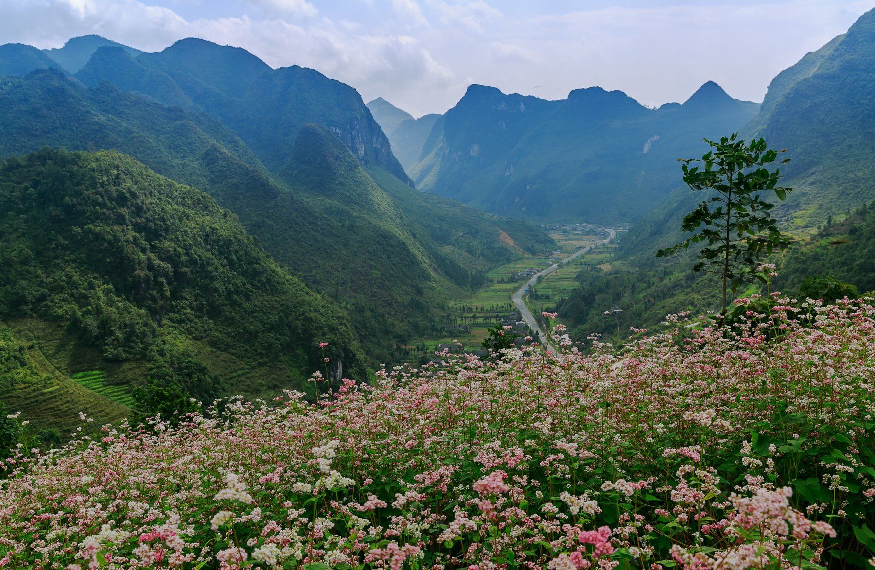 , Nam Nguyen Thanh