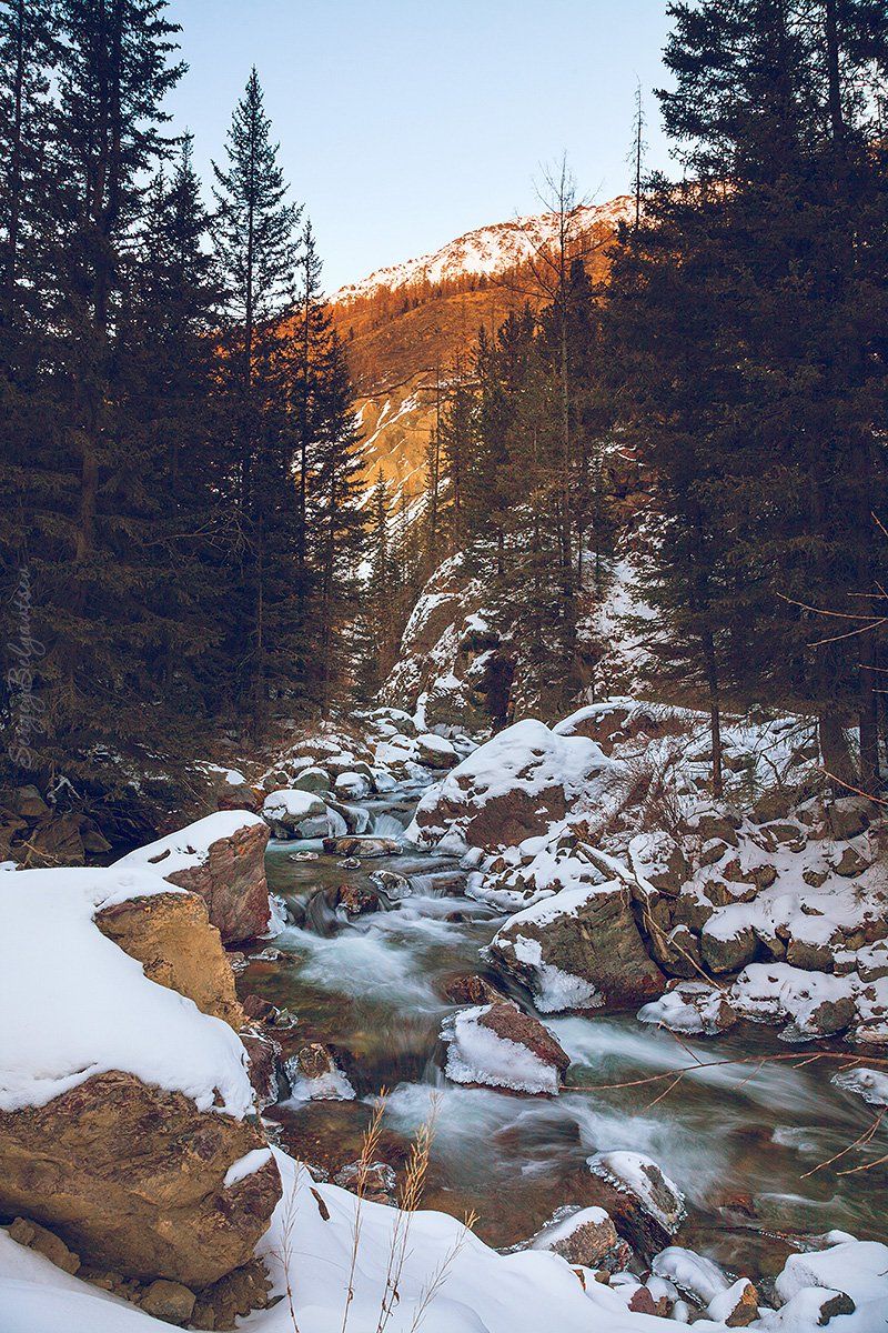 горный, Алтай, река, Чибитка, Акташ, М52, Чуйский тракт,, Сергей Белявцев