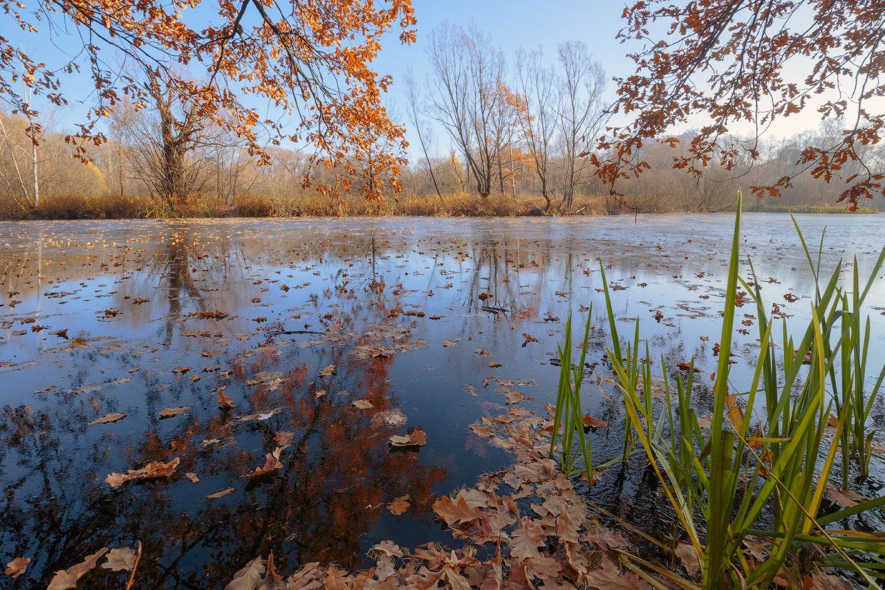 лёд, листва, опавшие листья, осень, пруд, Виктор Климкин