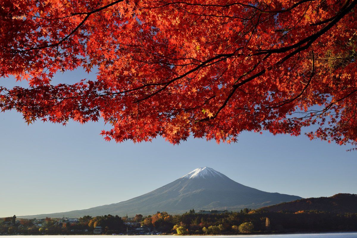 Fuji,mountain,landscape,lake,autumn.maple,red,scarlet,sky,tree,leaf,leaves,, Takashi