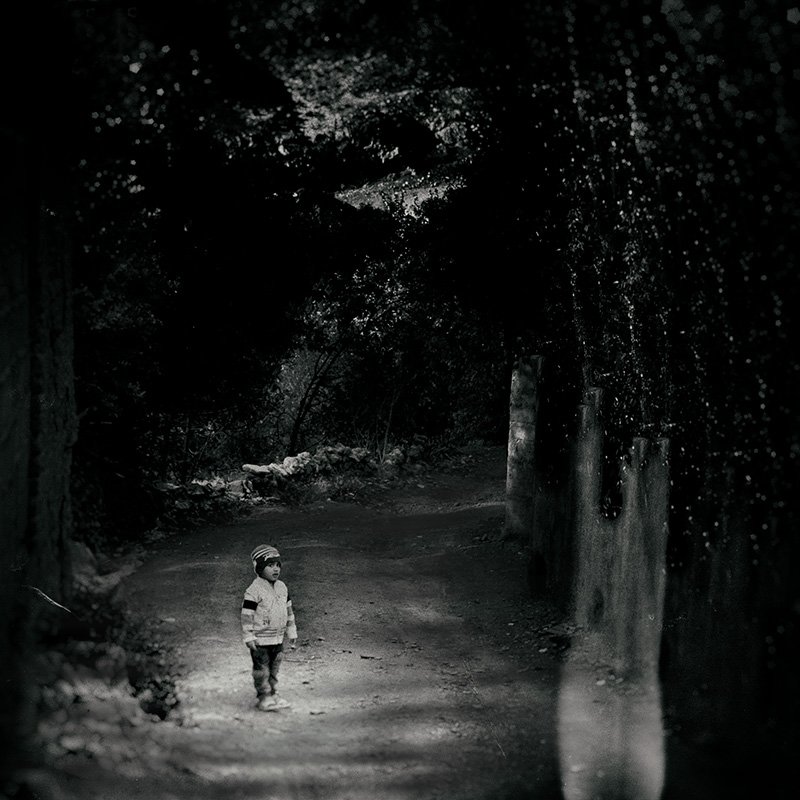 fineart, creative, concept, tree, conceptual, boy, wood, ghost,, milad safabakhsh