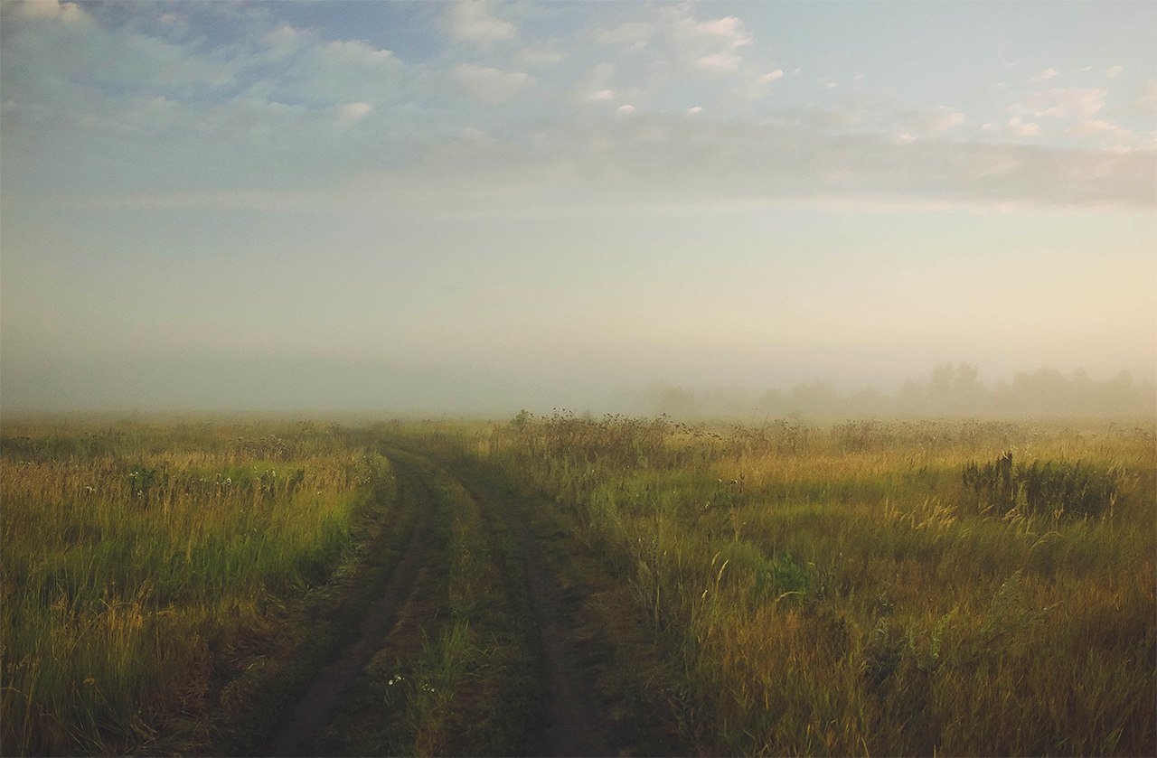 поле, лето, туман, утро, Фролова Евгения