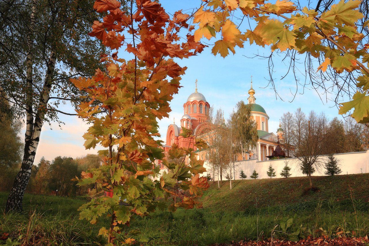 женский монастырь, листья, осень, храм, хотьково,  свято-покровский монастырь, Виктор Климкин