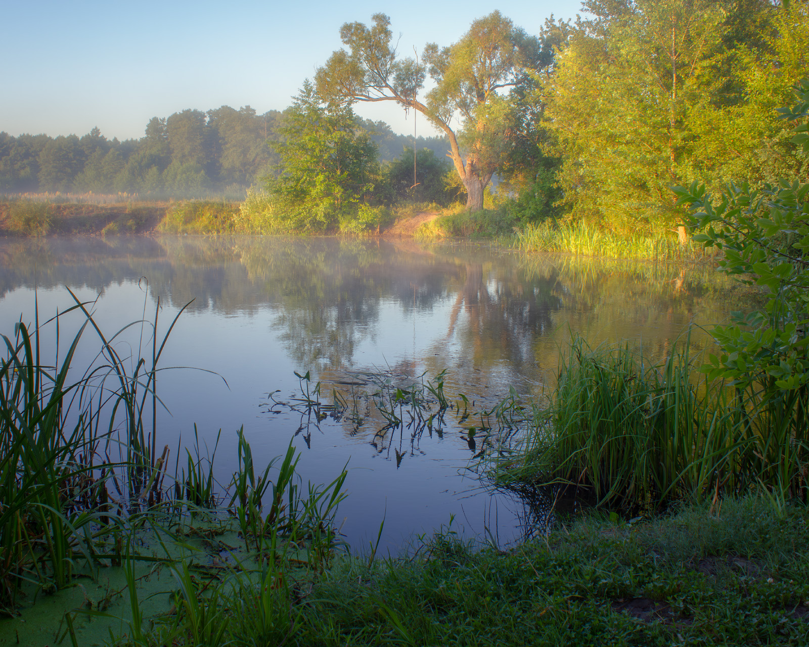morning, river, landscape, fog, утро, река, пейзаж, туман, Виктор Тулбанов