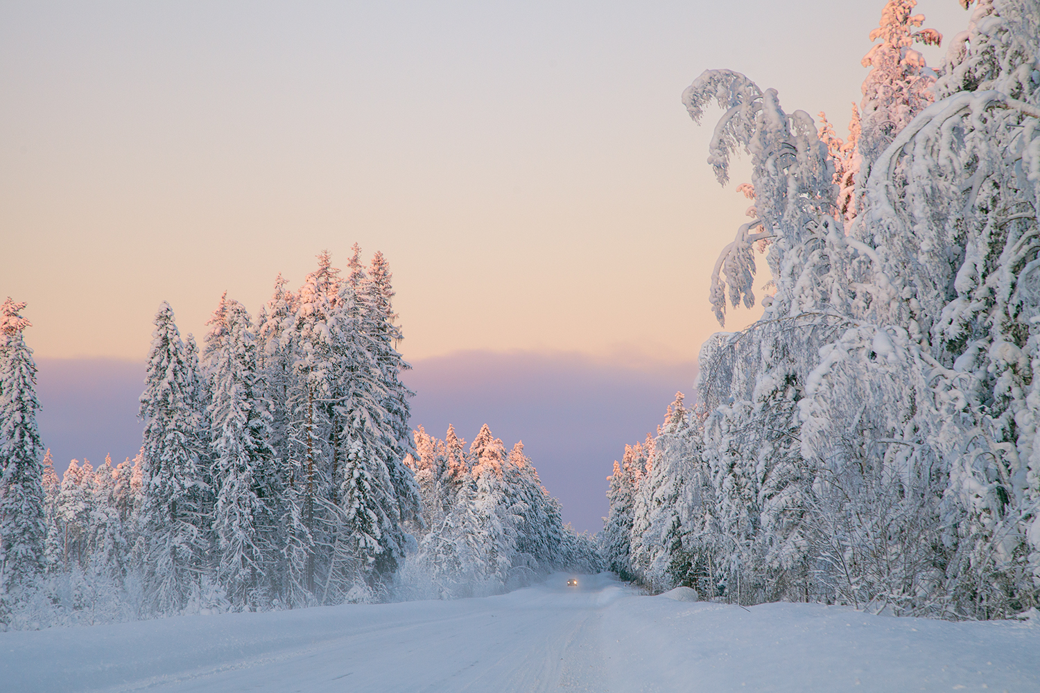 snow, winter, evening, road, january, Медведникова Мария