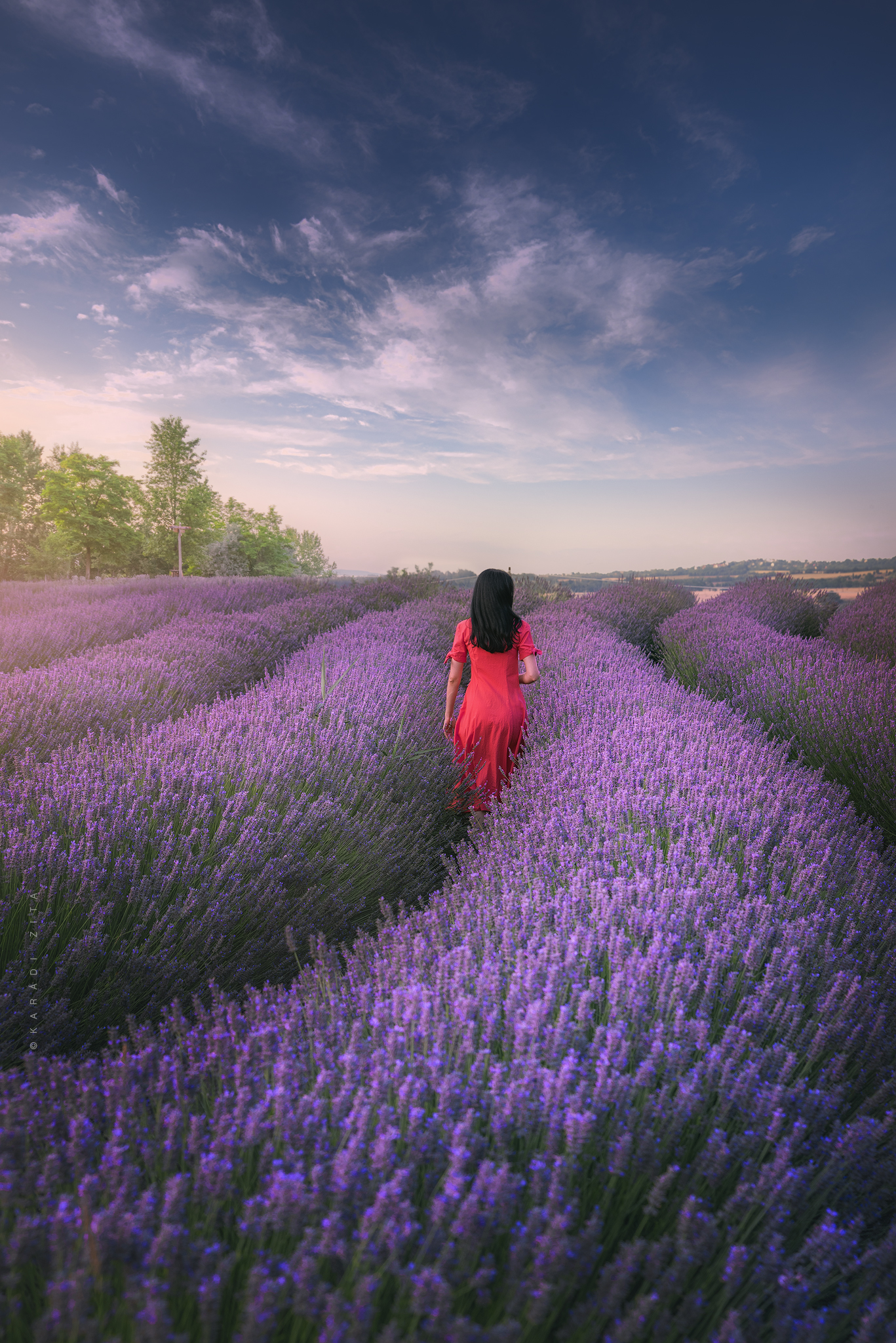 hungary, lavender field, woman, sunset, landscape, Karádi Zita