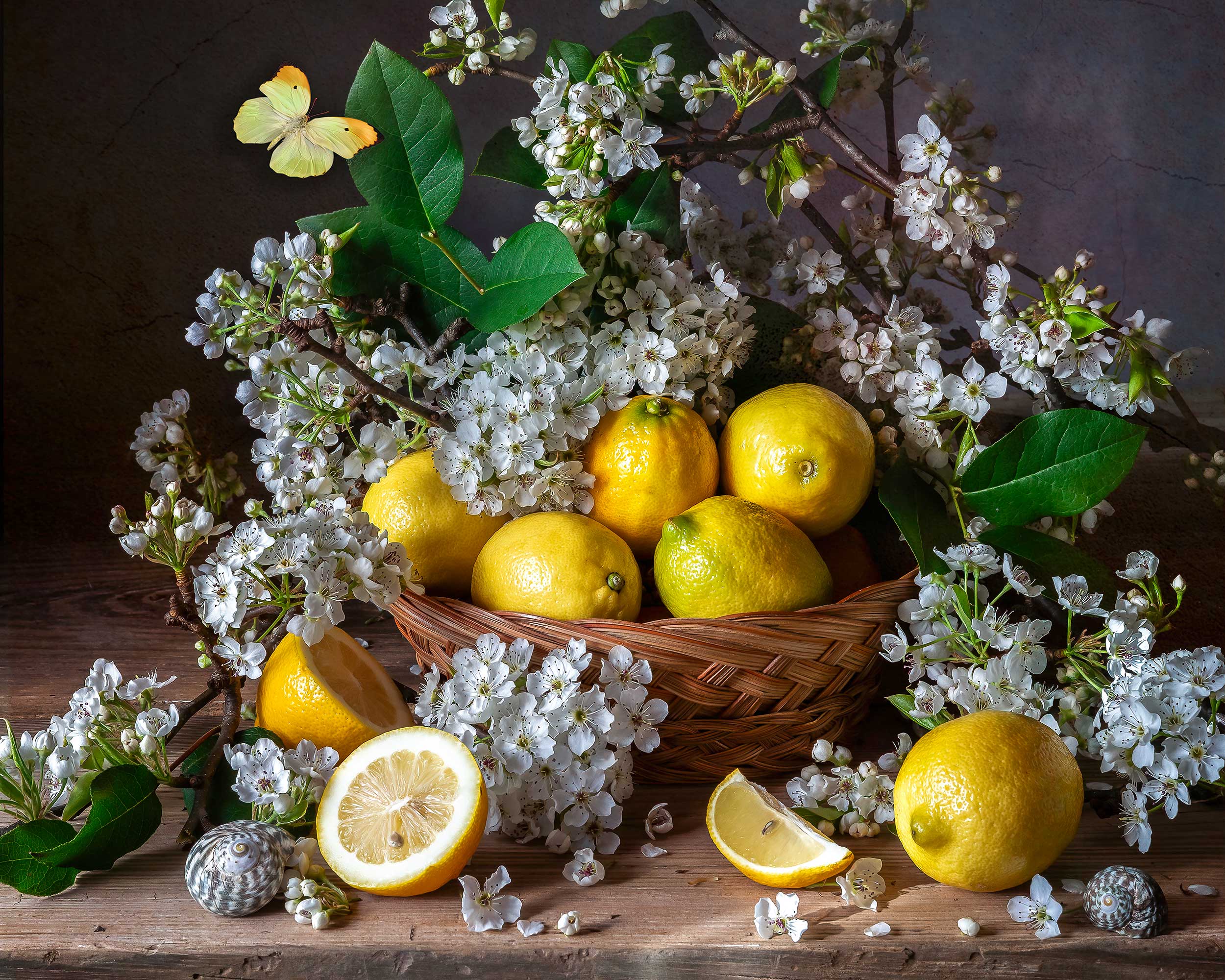 lemons, still life photography, botanical art, Слуцкая Яна