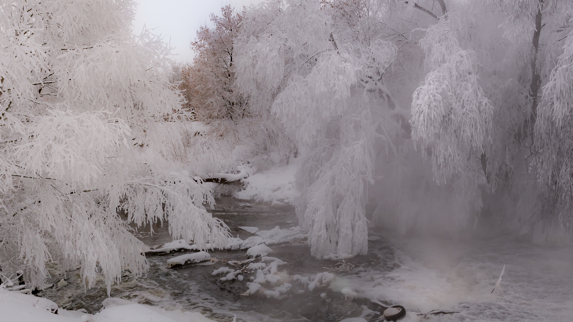 зима, туман, река, иней, пейзаж, Юрий Морозов