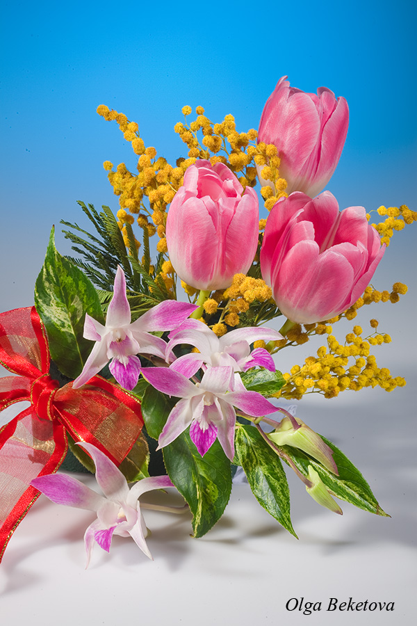 тюльпаны, орхидеи, цветы, весна, Бекетова Ольга
