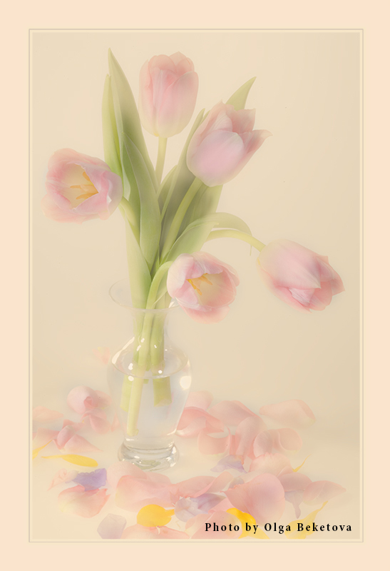 тюльпаны, ваза, весна, букет, Бекетова Ольга